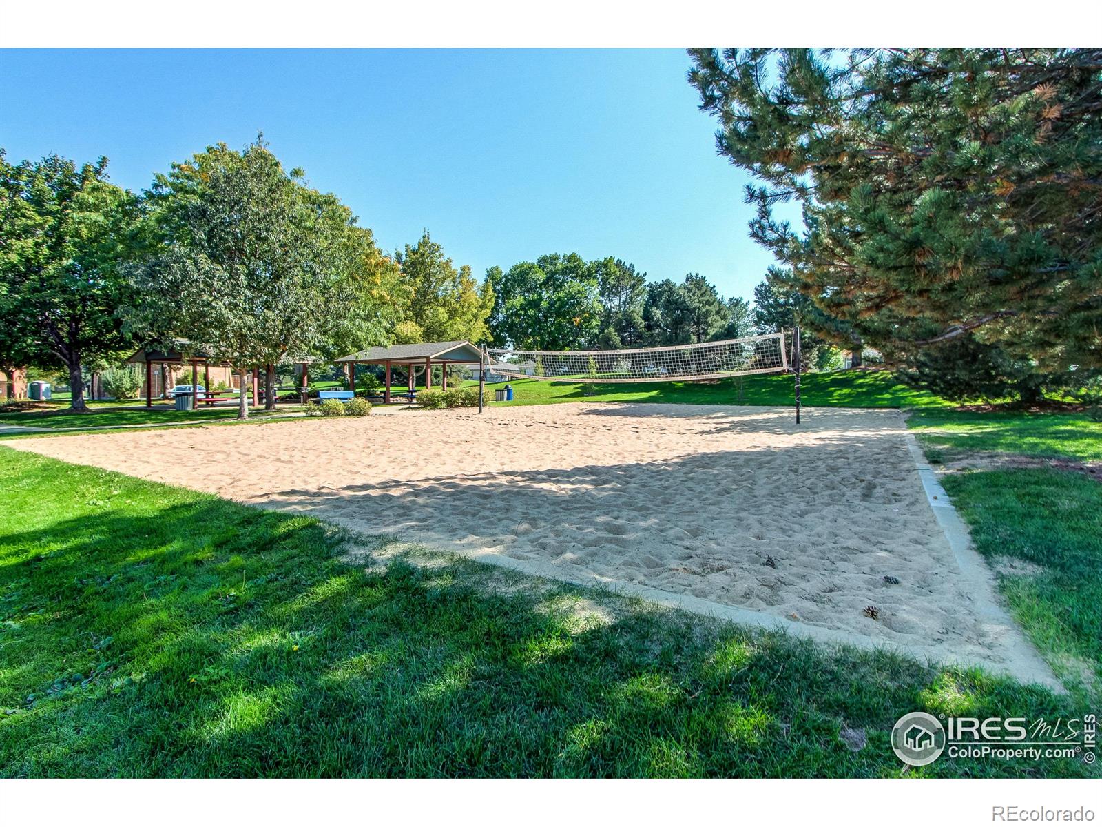 MLS Image #39 for 147  wolf creek trail,broomfield, Colorado