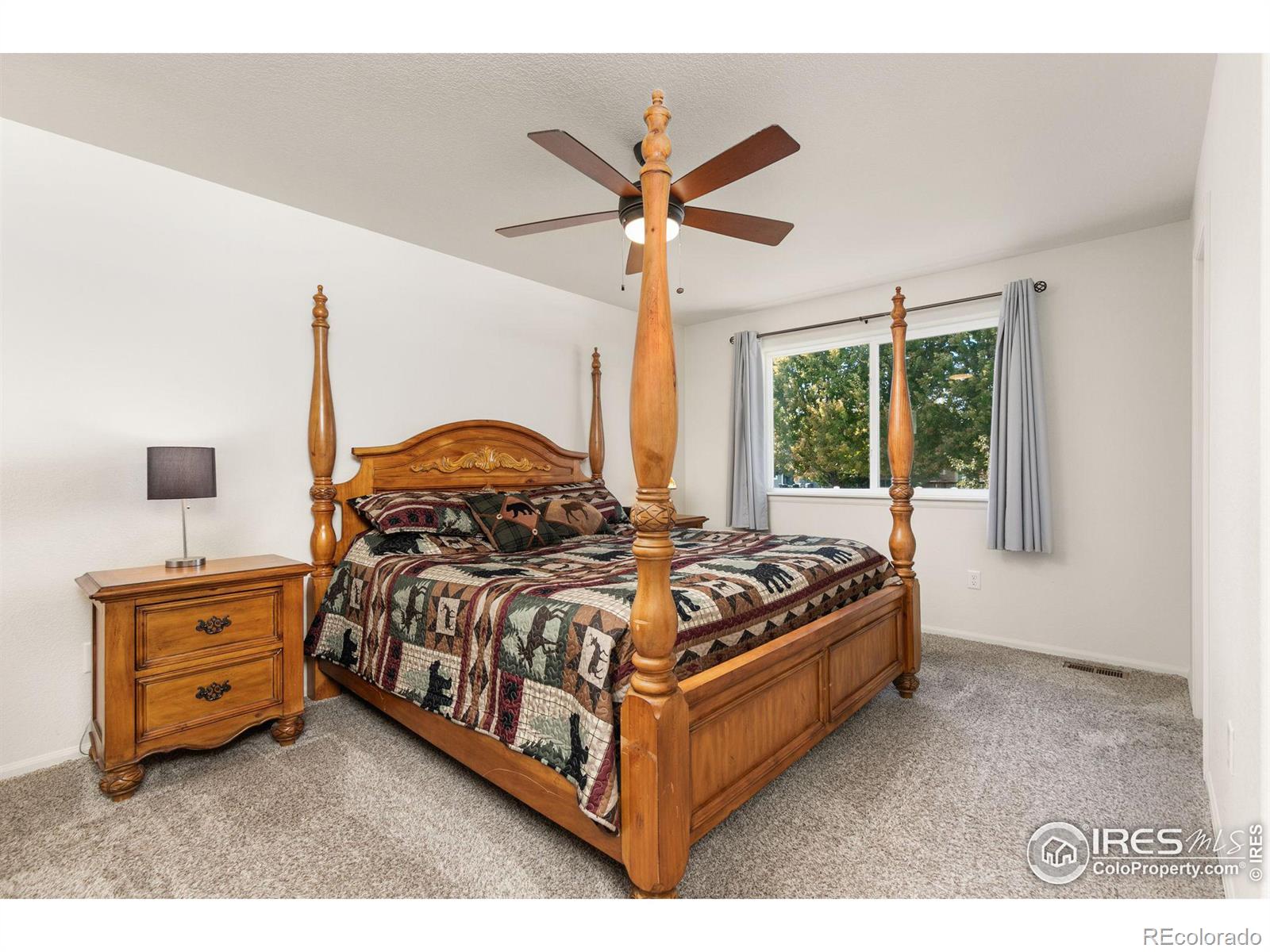 MLS Image #9 for 425  lapis place,loveland, Colorado