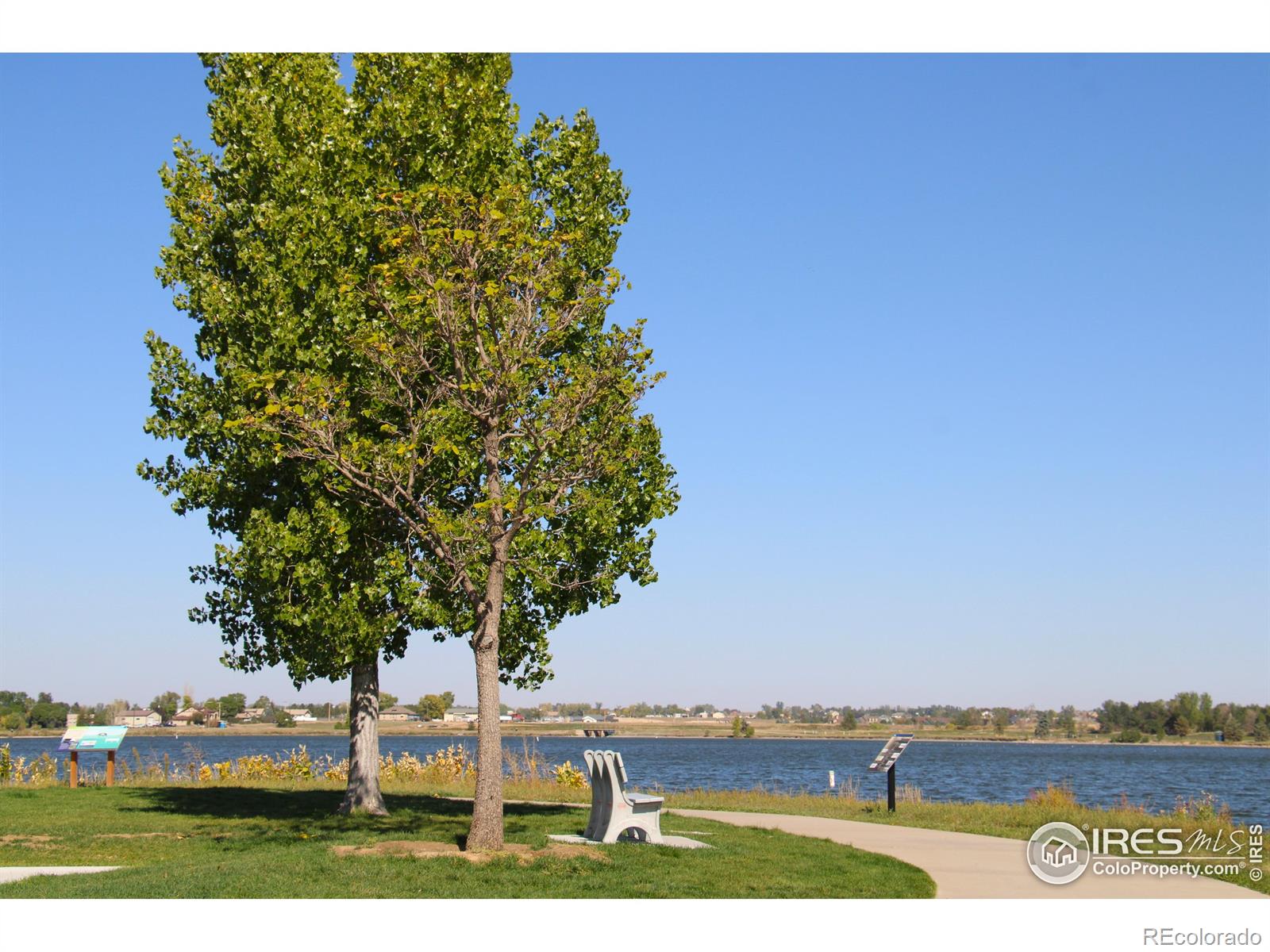 MLS Image #26 for 133  veronica drive,windsor, Colorado