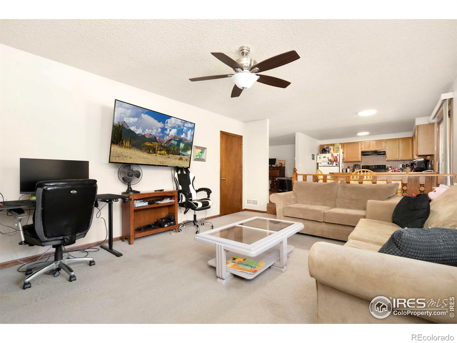 MLS Image #10 for 1029 n redbud drive,loveland, Colorado