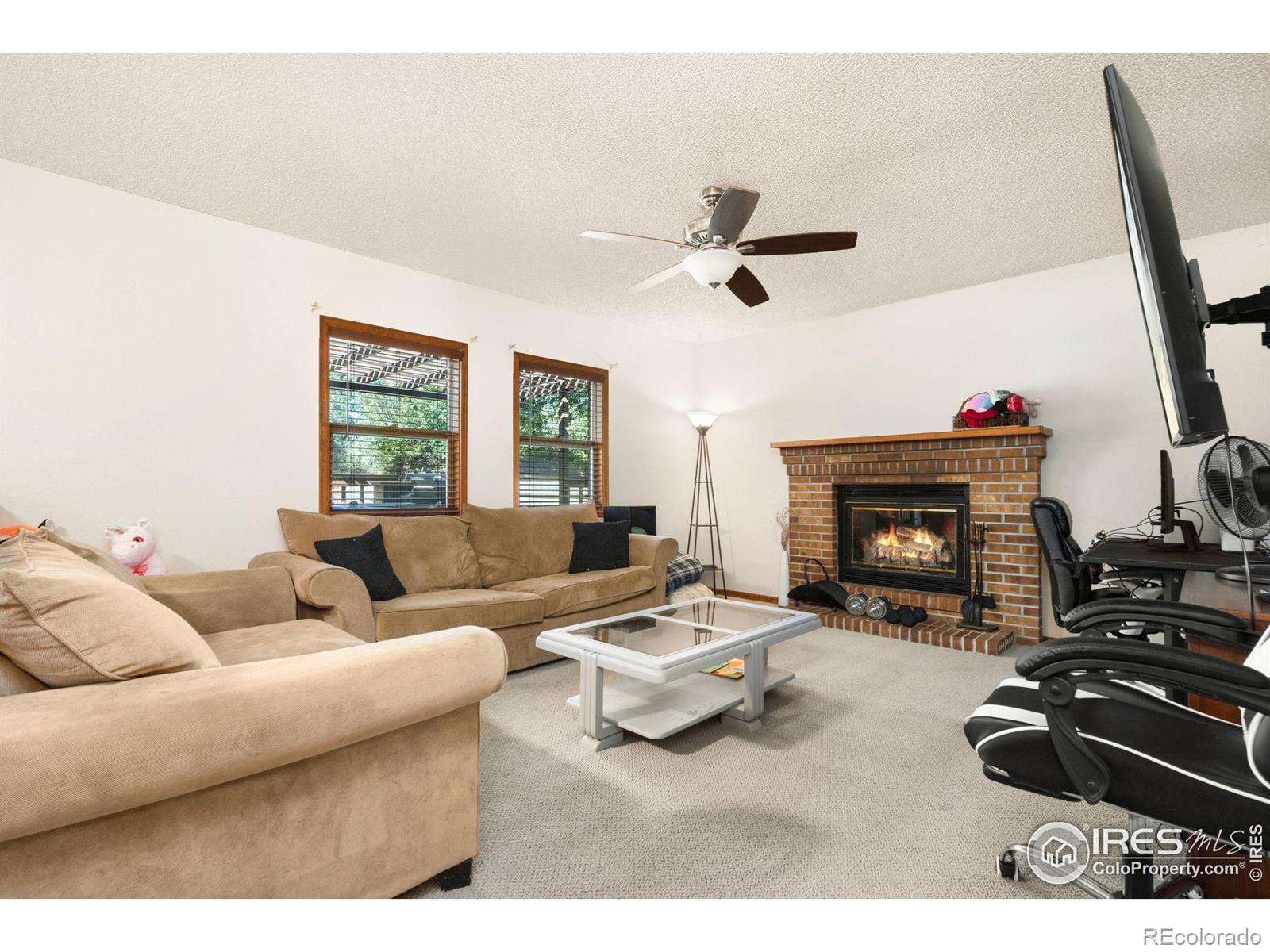 MLS Image #11 for 1029 n redbud drive,loveland, Colorado