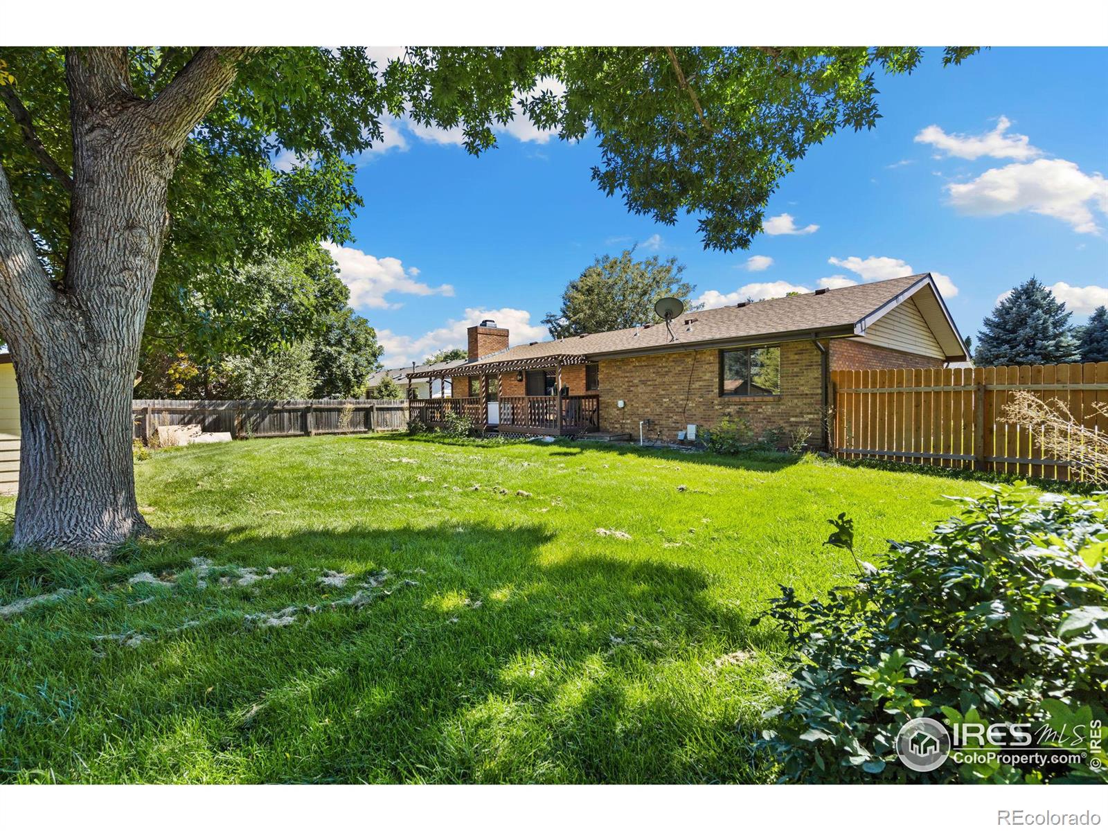 MLS Image #20 for 1029 n redbud drive,loveland, Colorado