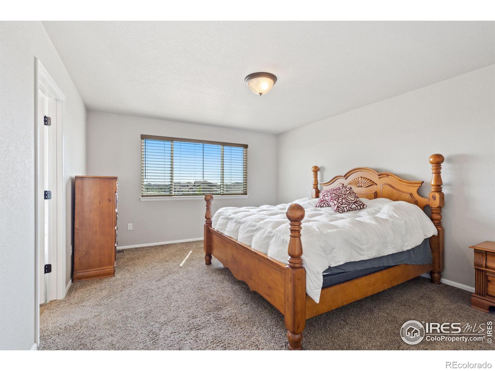 MLS Image #16 for 712  mt evans avenue,severance, Colorado