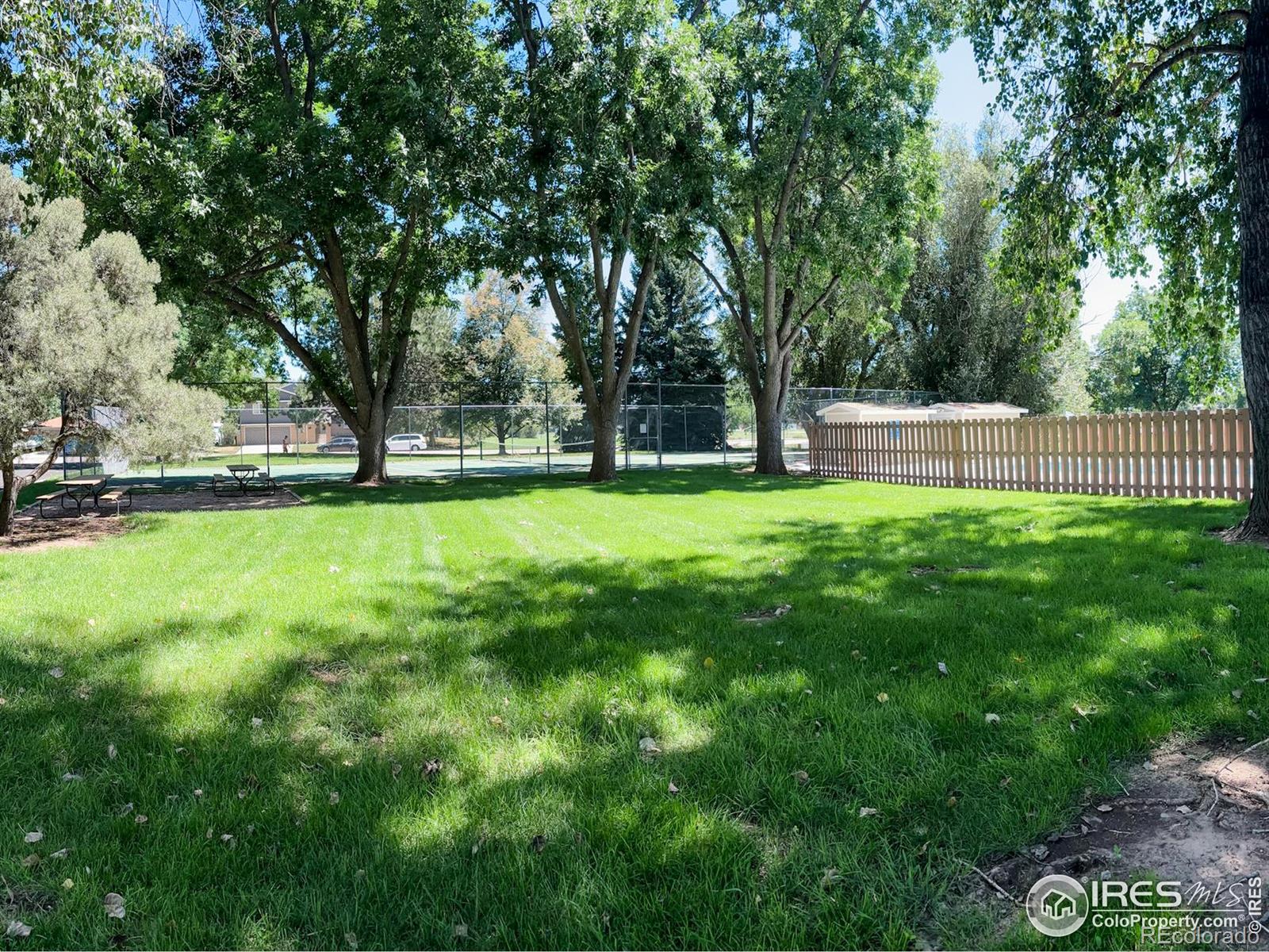 MLS Image #38 for 3117  swallow place,fort collins, Colorado