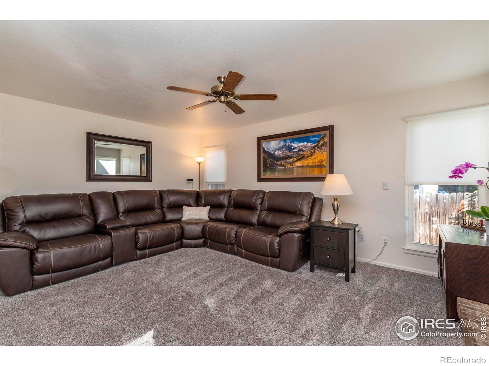 MLS Image #12 for 8449  urban court,arvada, Colorado