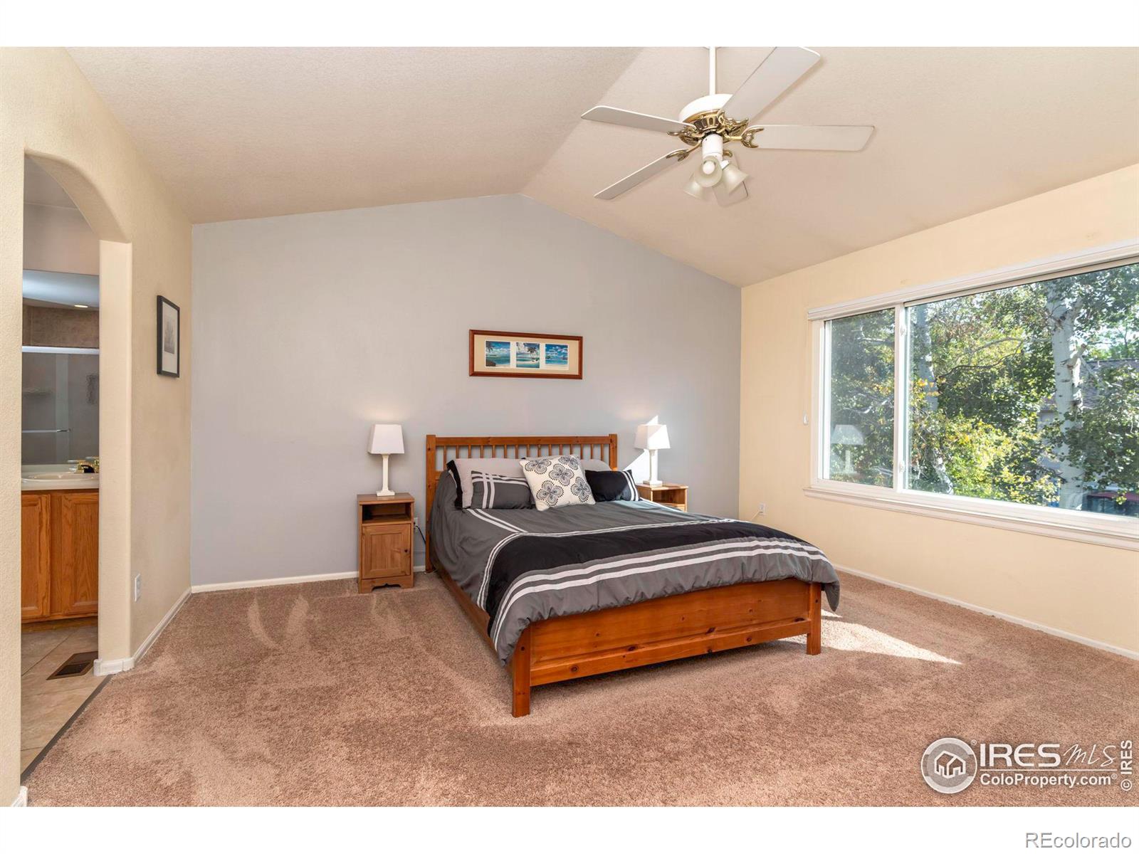 MLS Image #14 for 8449  urban court,arvada, Colorado