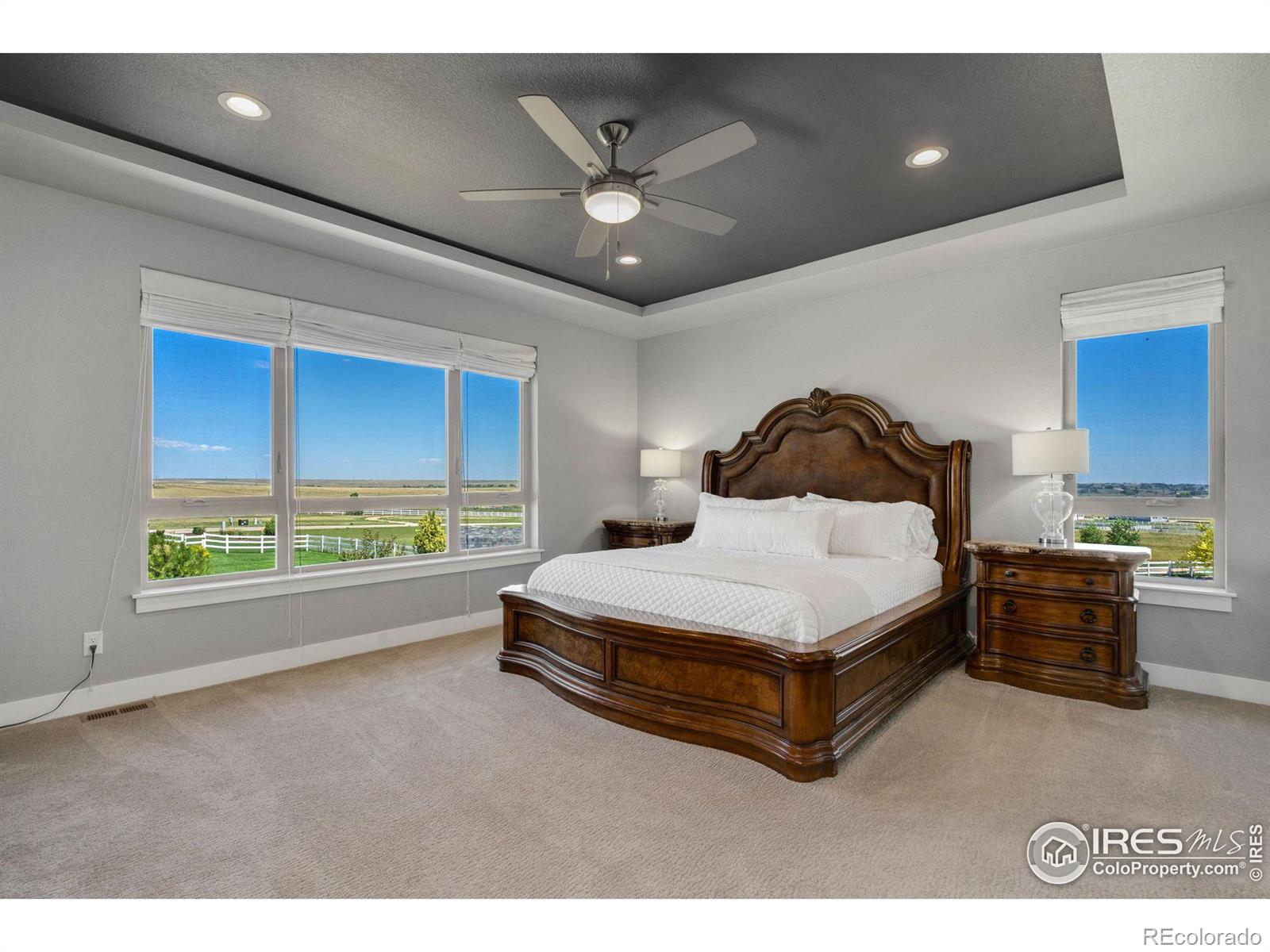 MLS Image #12 for 3818  bridle ridge circle,severance, Colorado