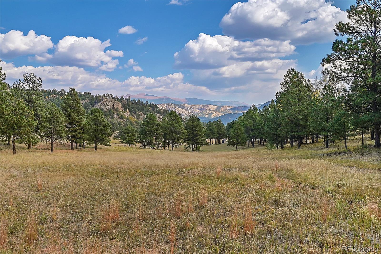 MLS Image #4 for 1441  high chateau road,florissant, Colorado