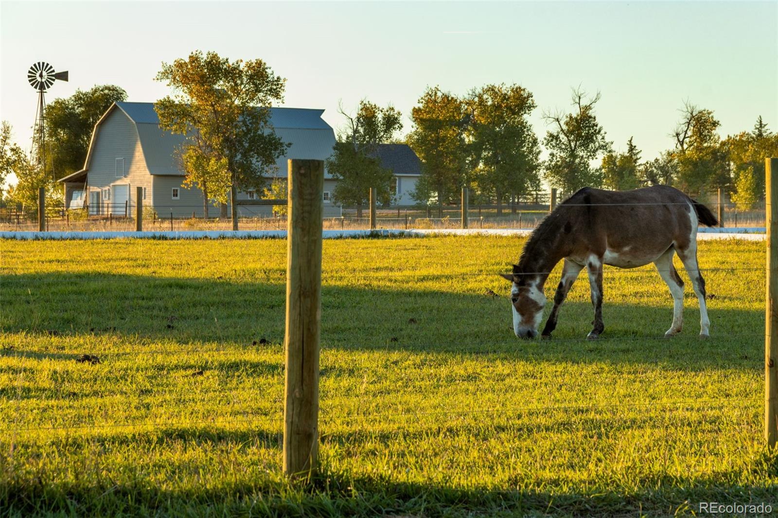 MLS Image #7 for 7755  valleyview circle,windsor, Colorado