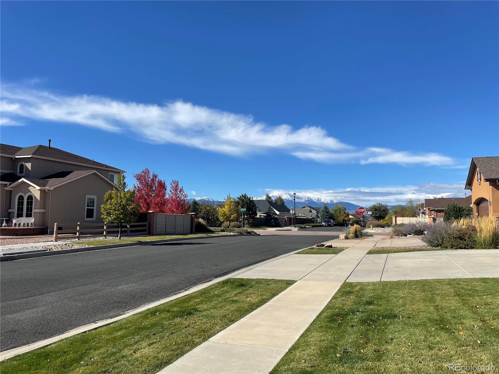 MLS Image #2 for 7624  wrangler ridge drive,colorado springs, Colorado