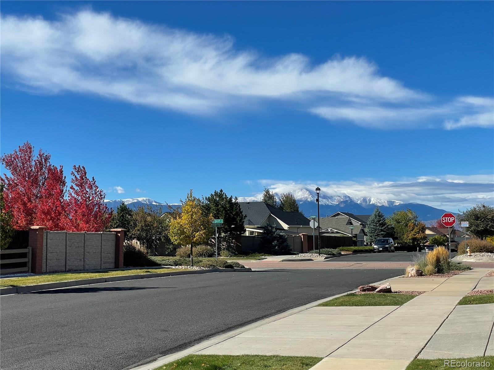 MLS Image #3 for 7624  wrangler ridge drive,colorado springs, Colorado