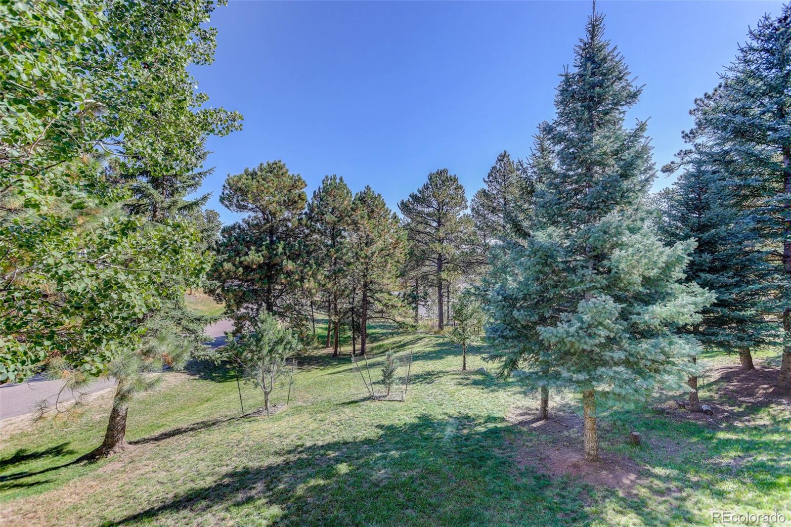 MLS Image #40 for 3420  box elder ,evergreen, Colorado