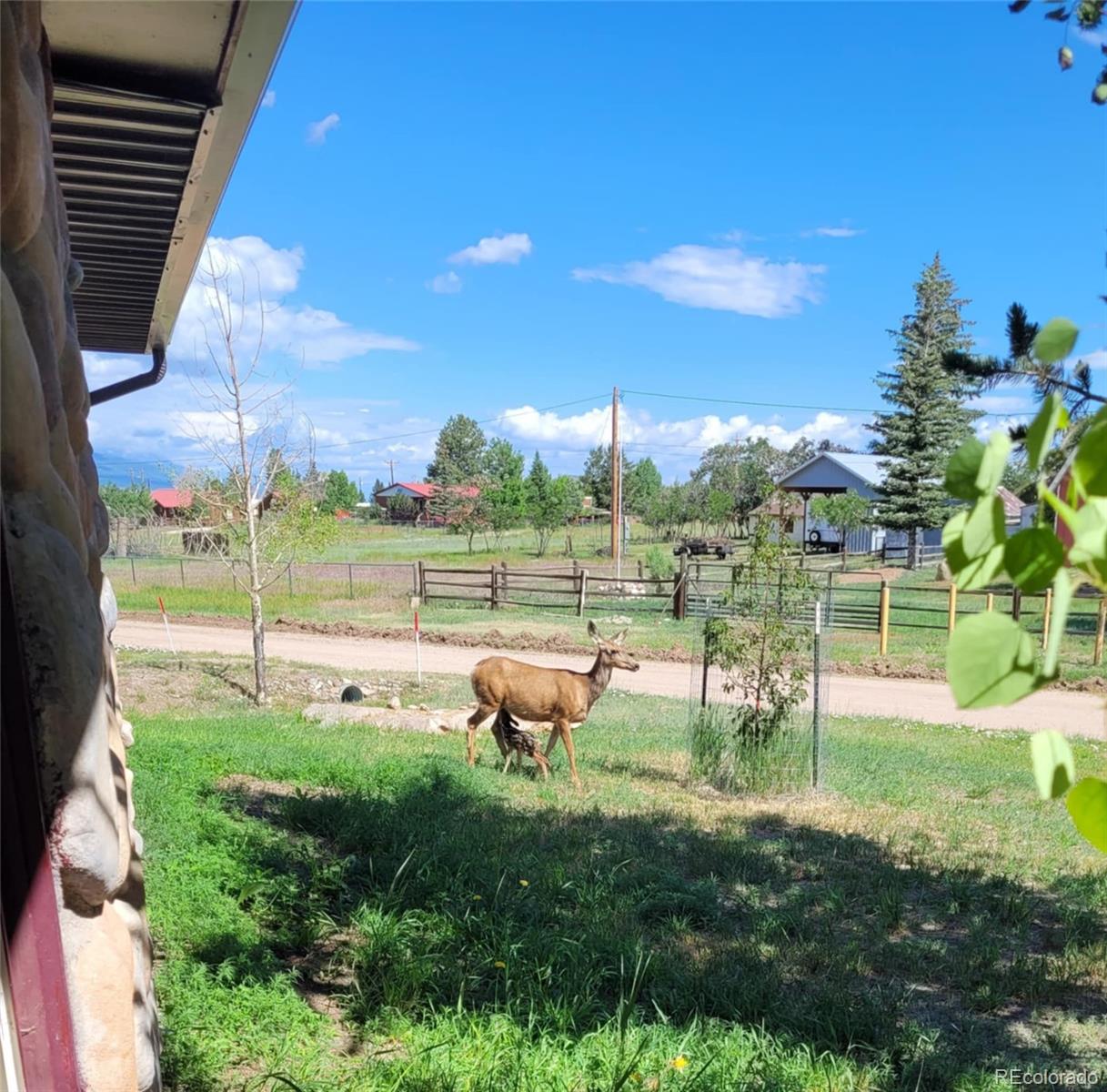 MLS Image #20 for 430  broadway street,silver cliff, Colorado