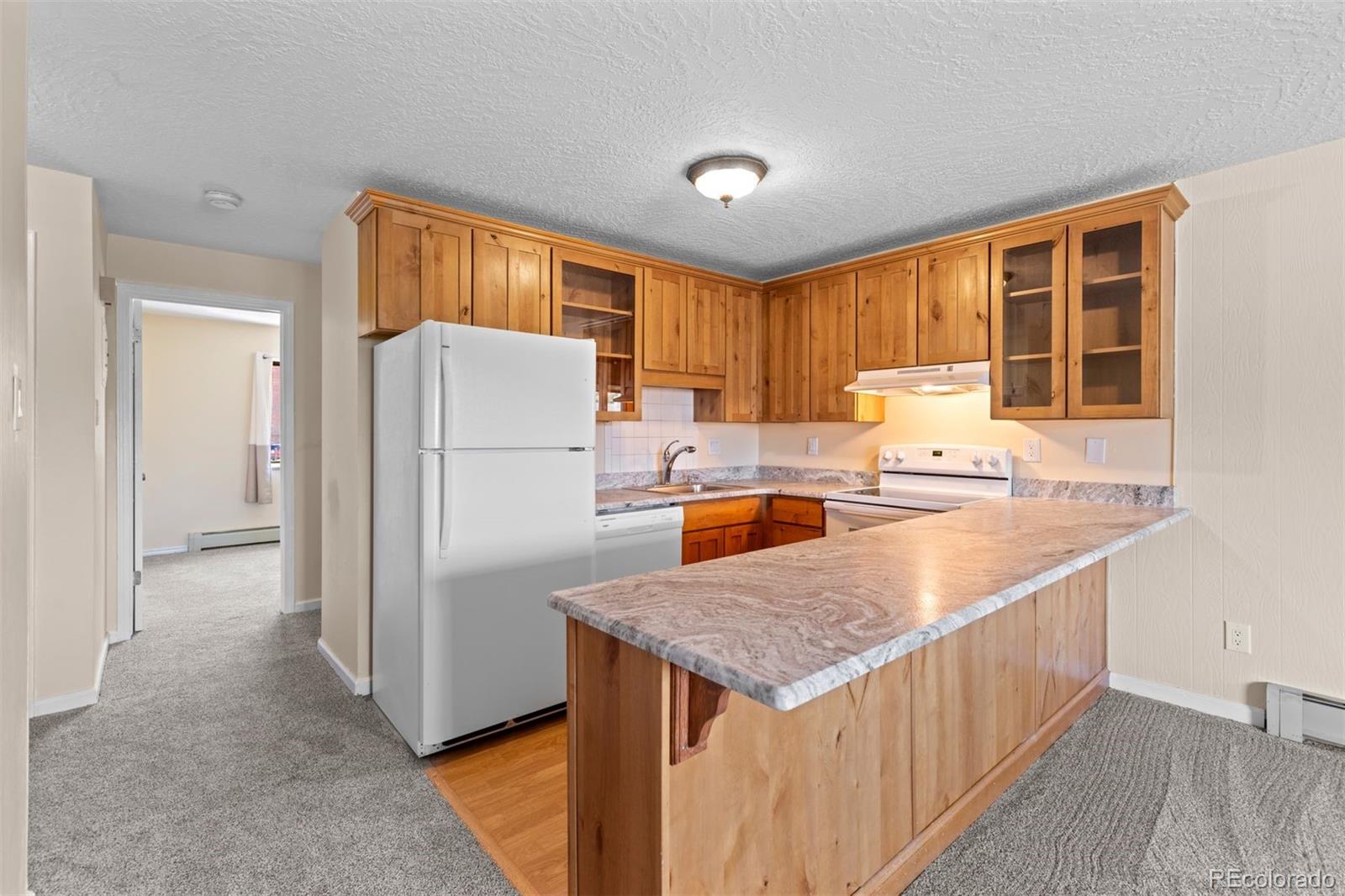 MLS Image #1 for 803  straight creek drive,dillon, Colorado