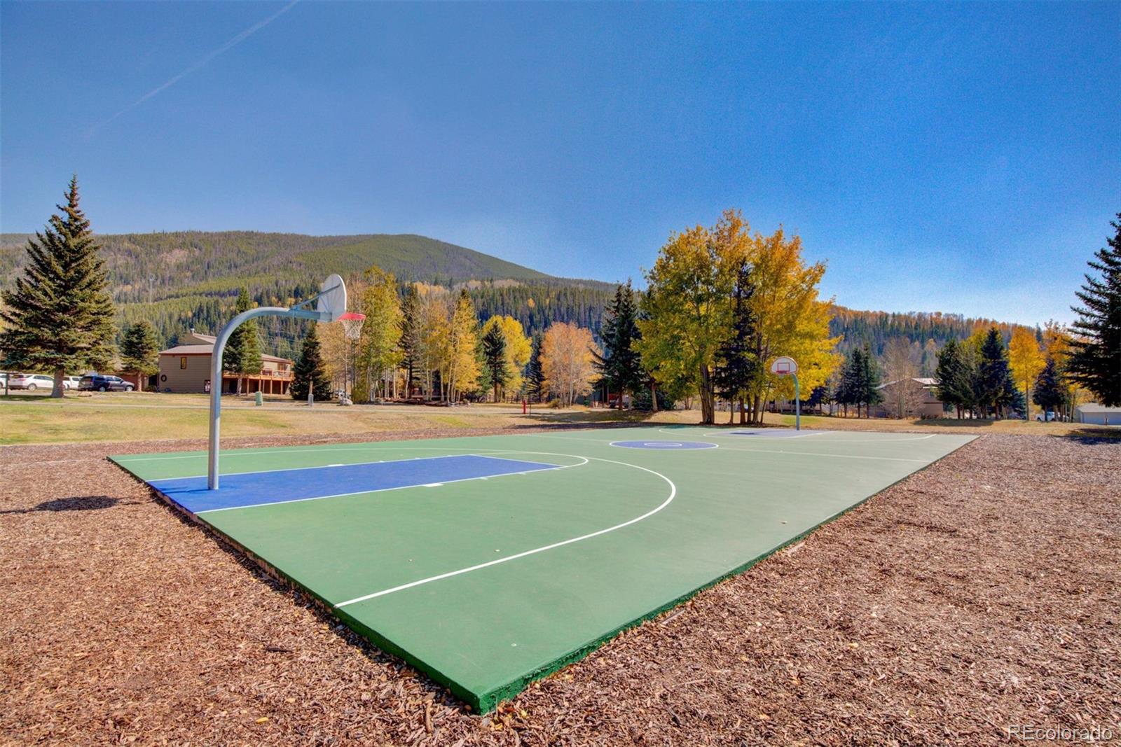 MLS Image #12 for 803  straight creek drive,dillon, Colorado