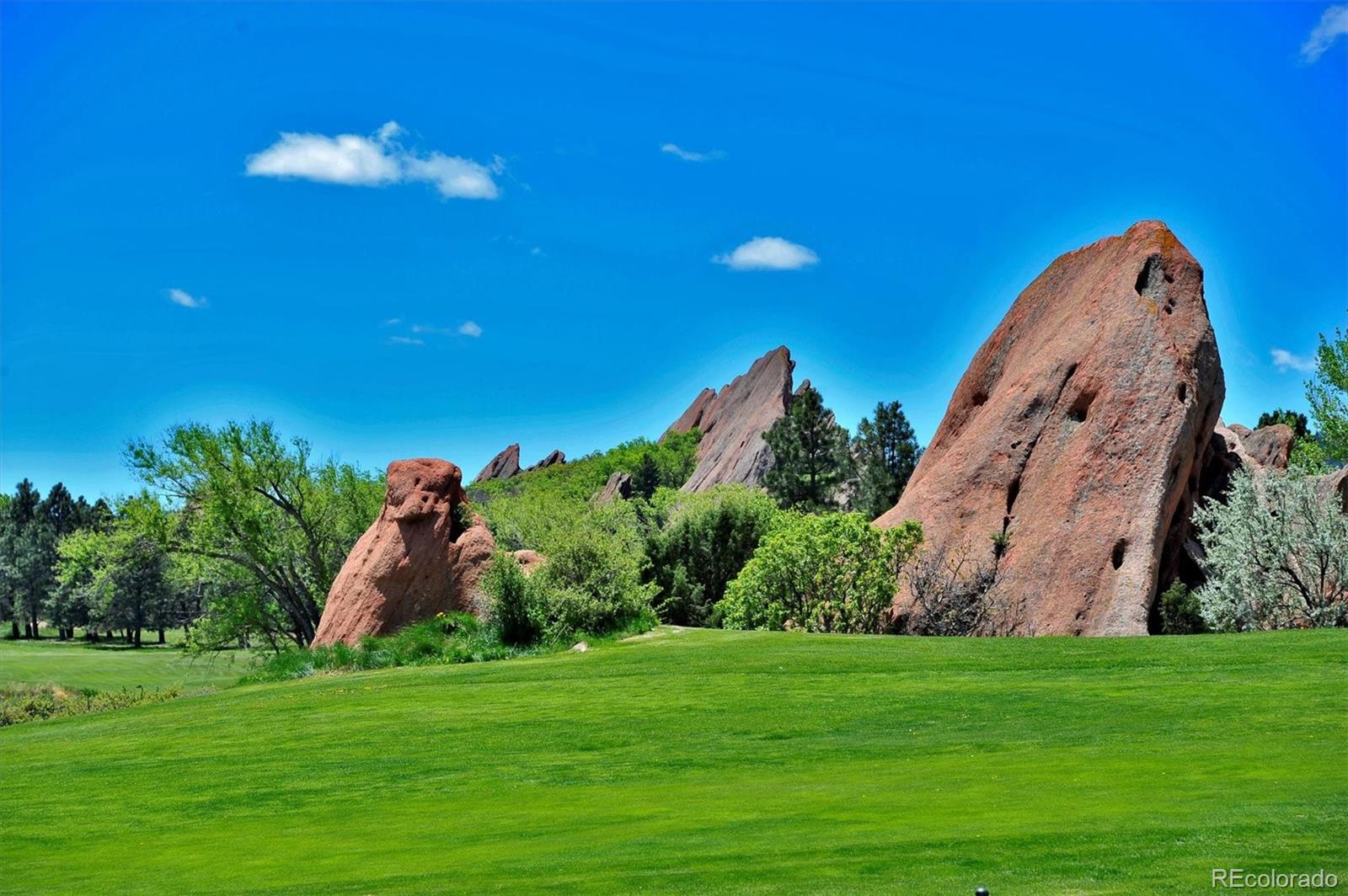 MLS Image #41 for 6820  briar rose trail ,littleton, Colorado