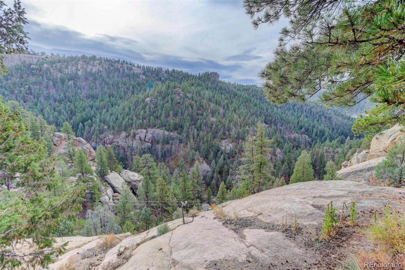 MLS Image #3 for 16048  old stagecoach road,pine, Colorado