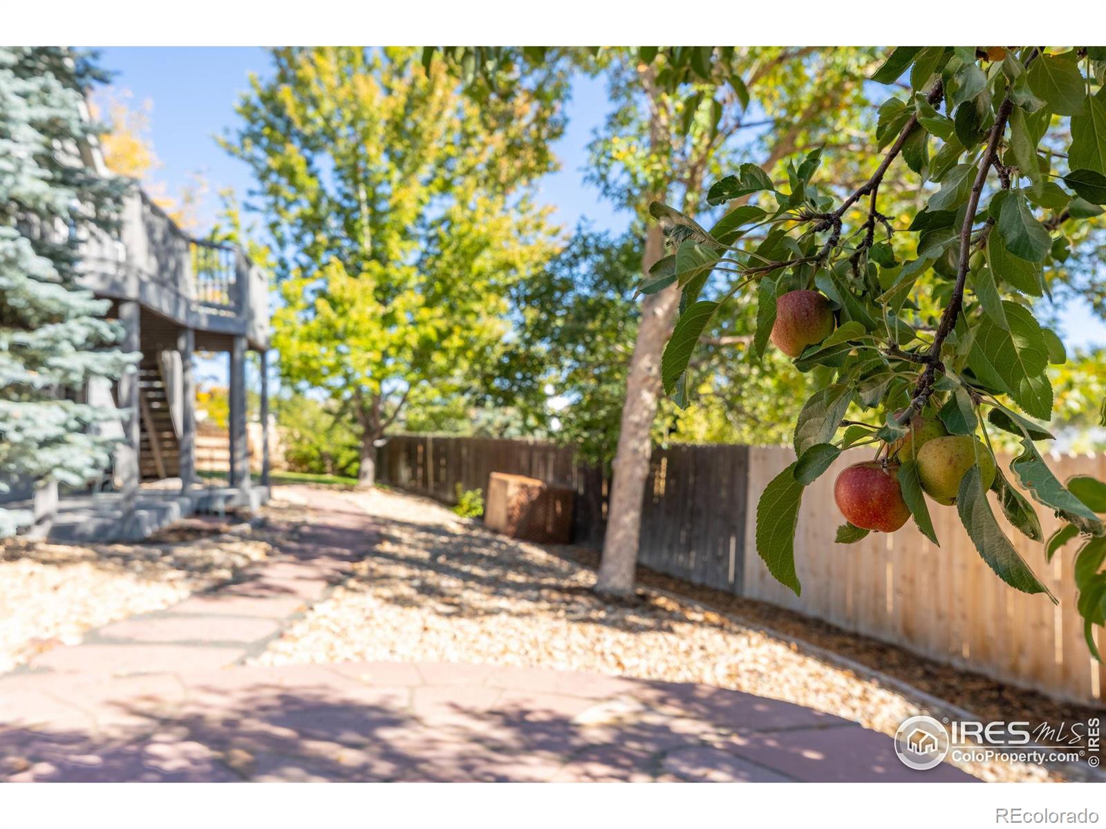 MLS Image #33 for 440  andrew way,superior, Colorado