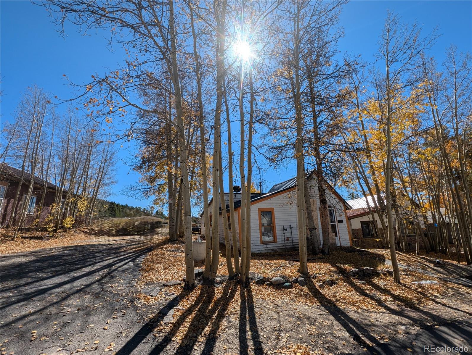 MLS Image #3 for 421 e 2nd street,leadville, Colorado