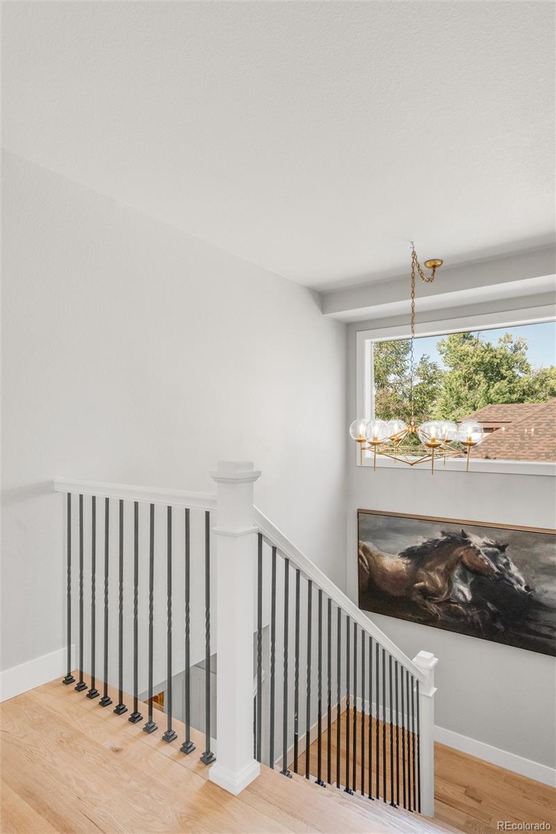 MLS Image #16 for 4612  elm court,denver, Colorado