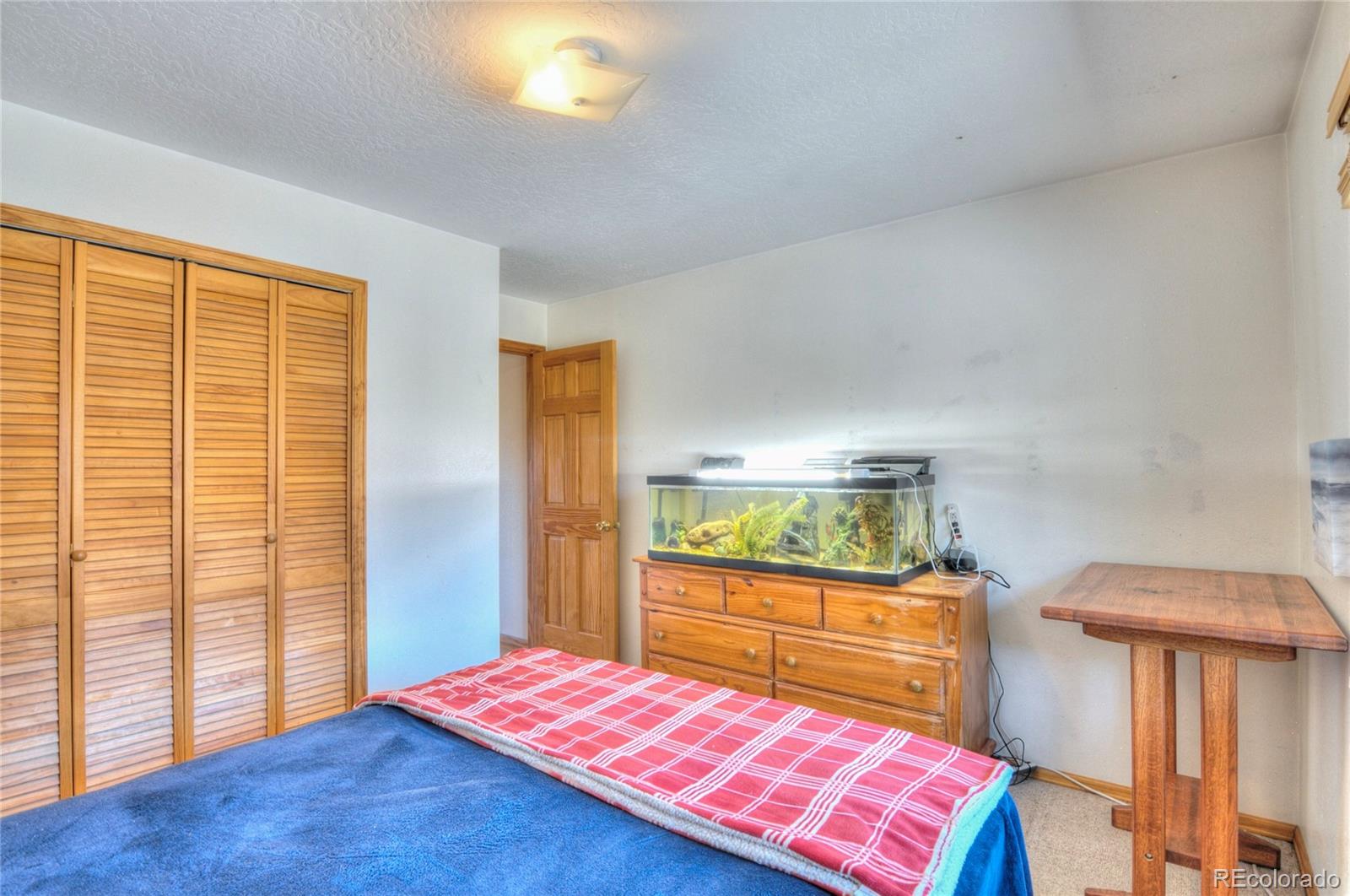 MLS Image #12 for 923  straight creek drive,dillon, Colorado