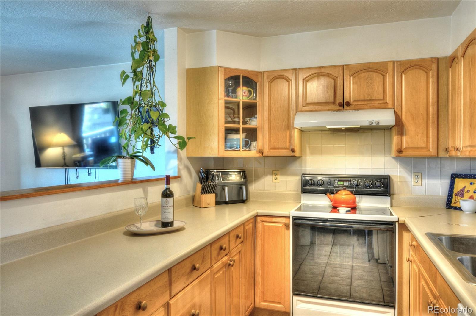 MLS Image #7 for 923  straight creek drive,dillon, Colorado