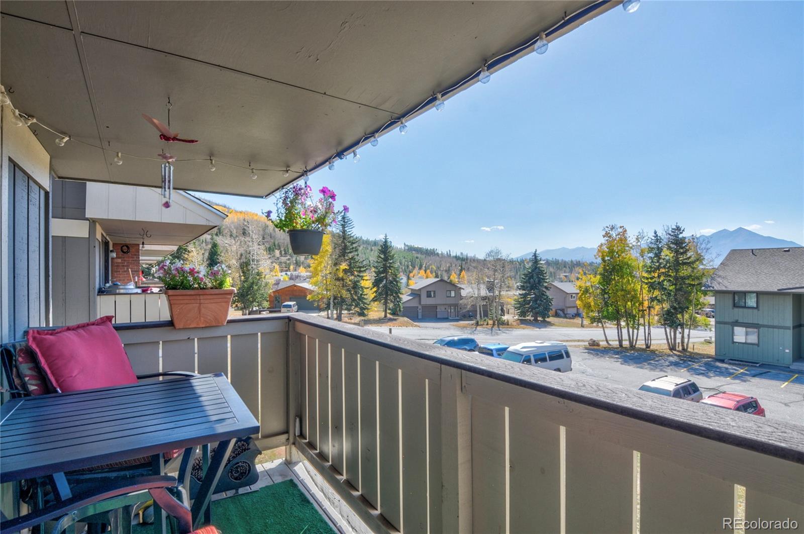 MLS Image #8 for 923  straight creek drive,dillon, Colorado