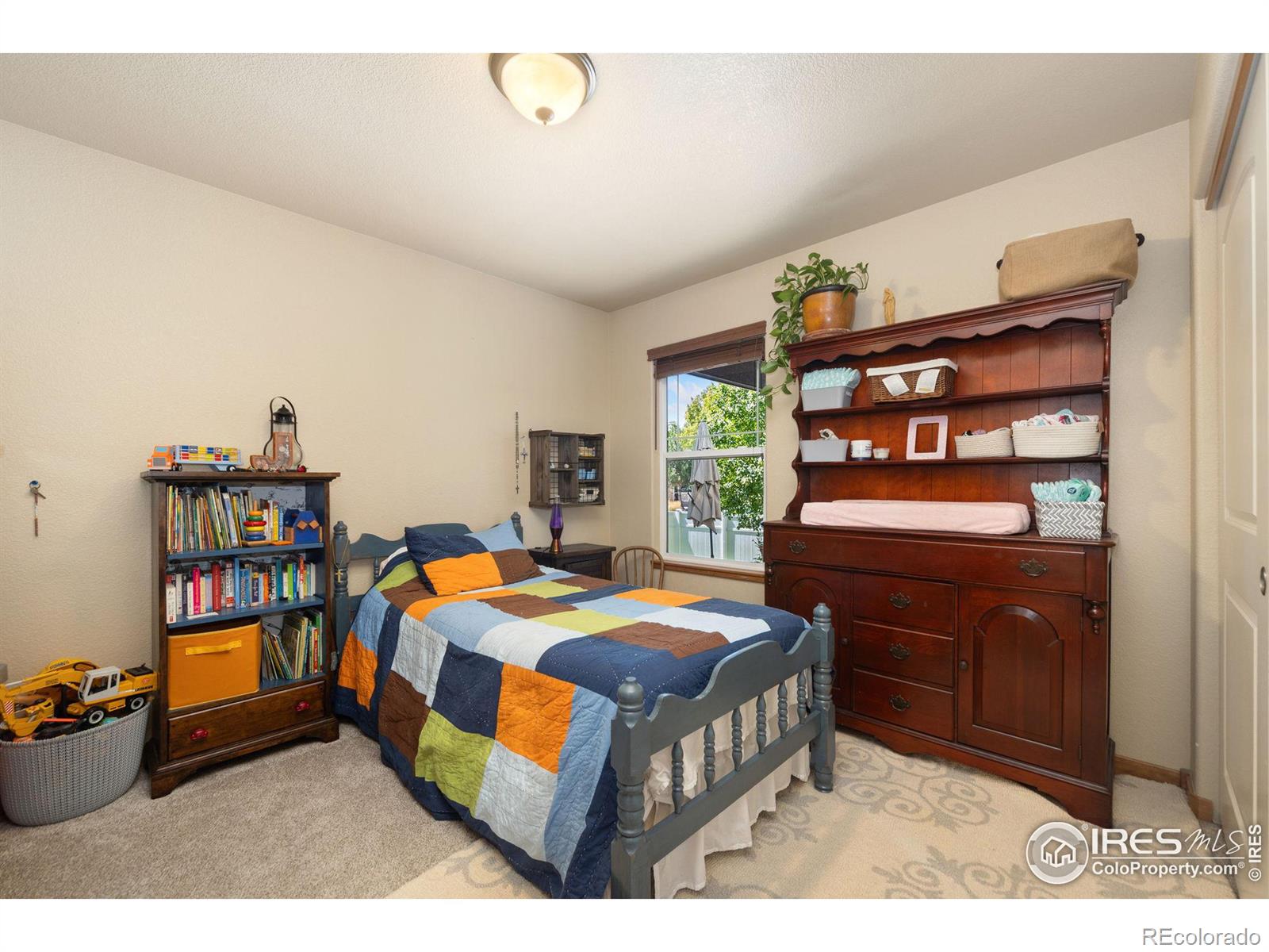 MLS Image #15 for 1035  canal drive,windsor, Colorado