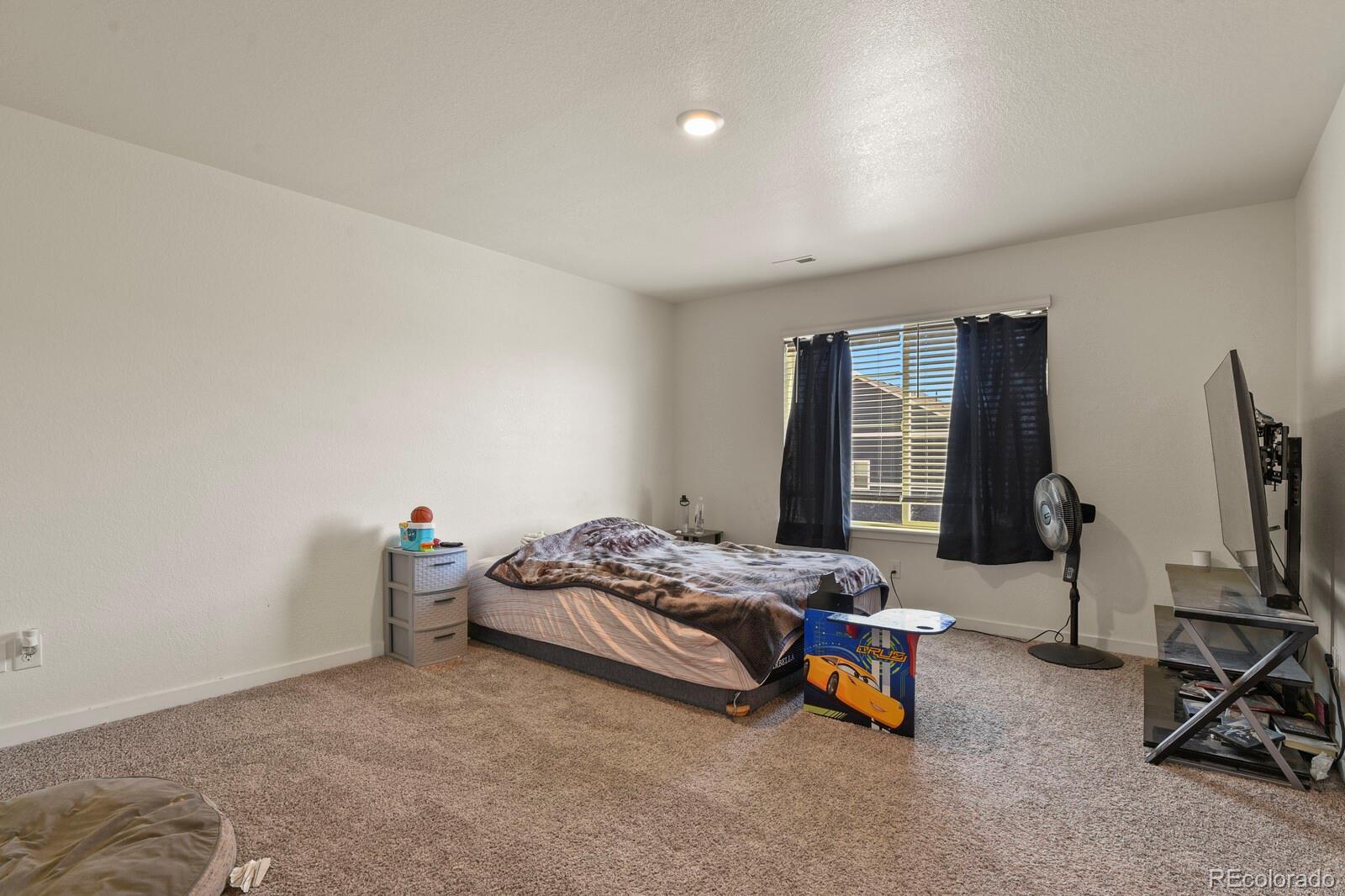 MLS Image #10 for 225  yellowtail street,bennett, Colorado