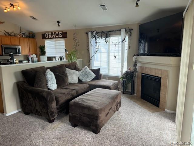 MLS Image #7 for 3231 e 103rd place,thornton, Colorado