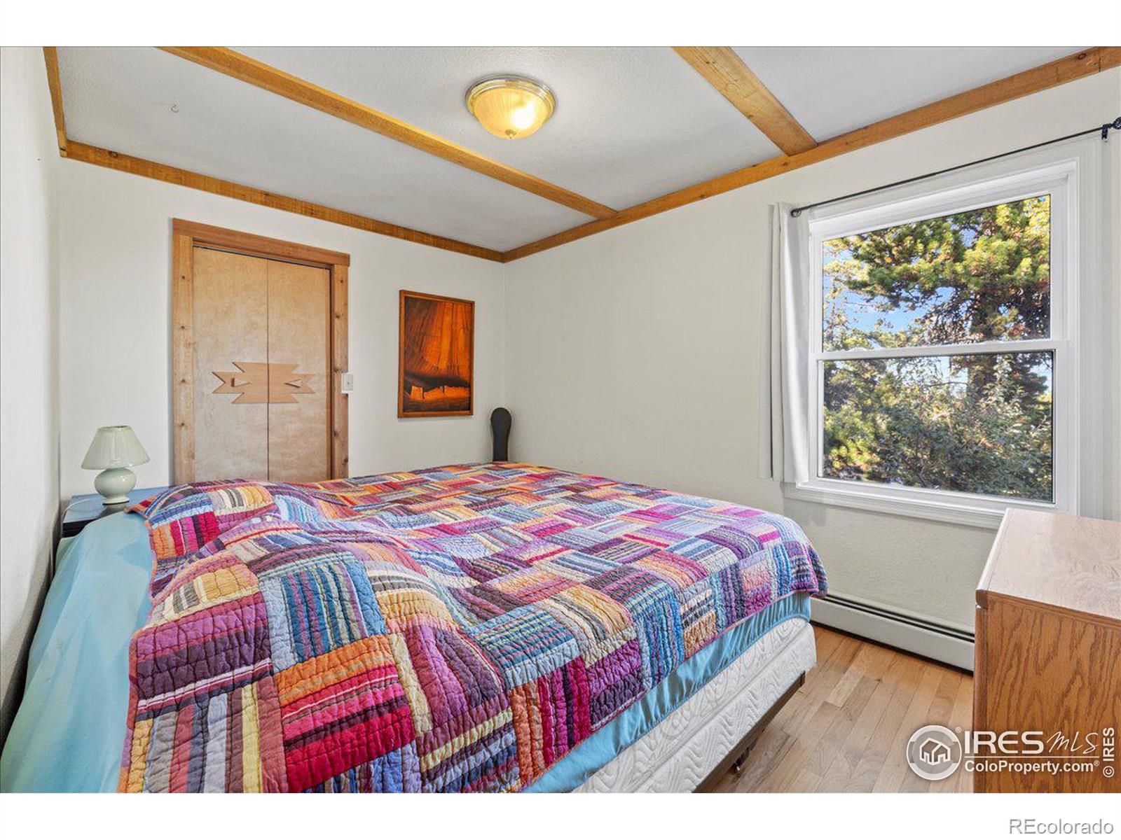 MLS Image #10 for 805  camp eden road,golden, Colorado