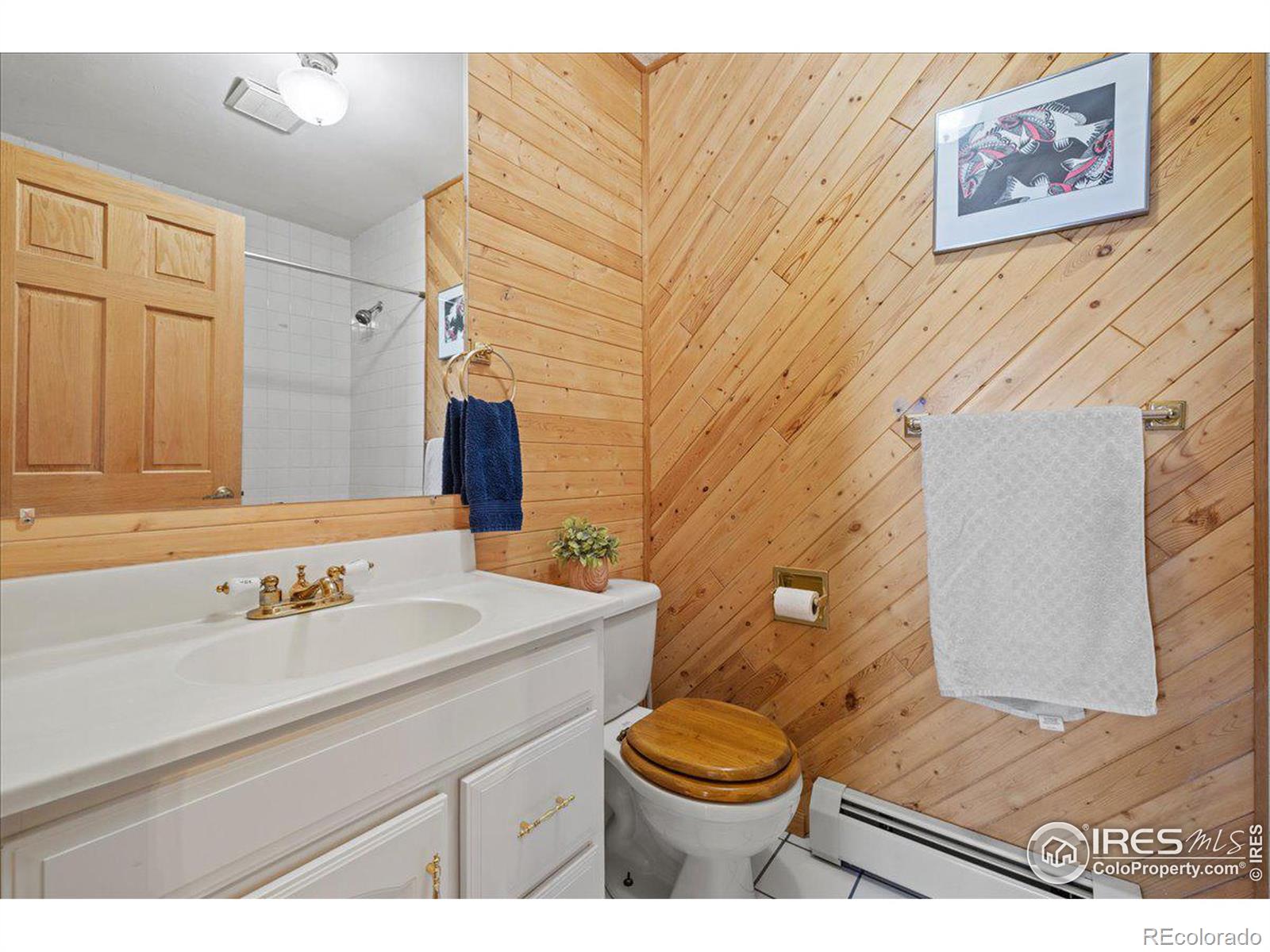 MLS Image #11 for 805  camp eden road,golden, Colorado