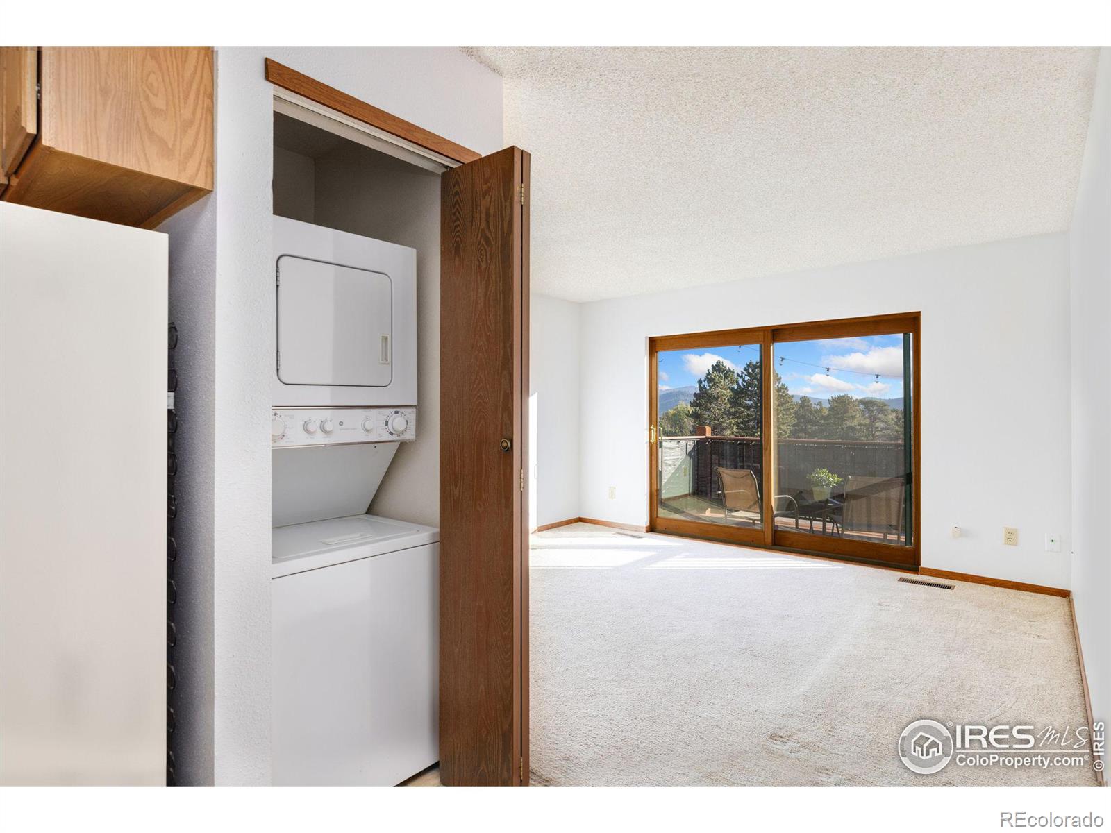 MLS Image #12 for 1155 s saint vrain avenue,estes park, Colorado