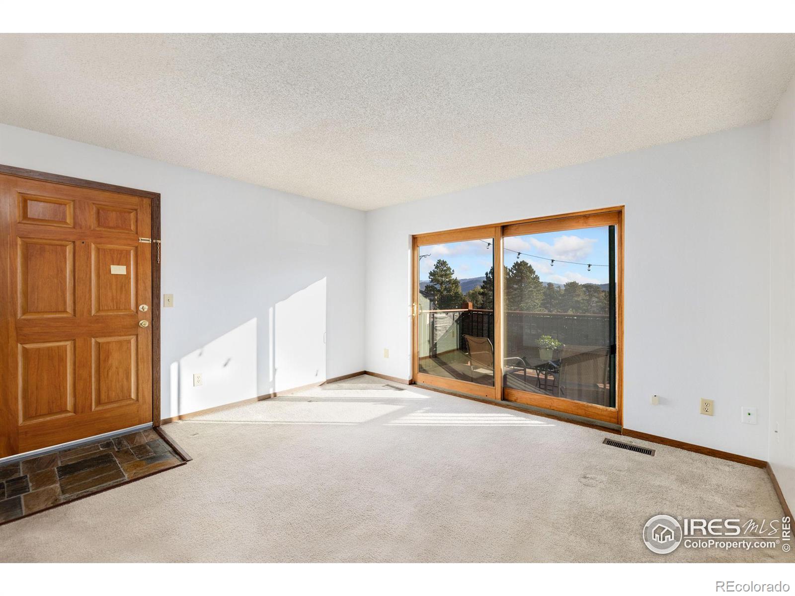 MLS Image #13 for 1155 s saint vrain avenue,estes park, Colorado