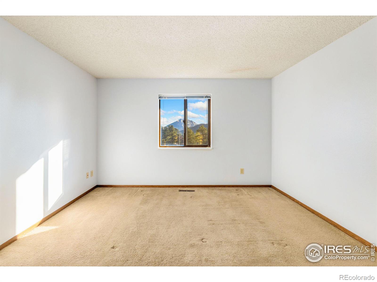 MLS Image #26 for 1155 s saint vrain avenue,estes park, Colorado