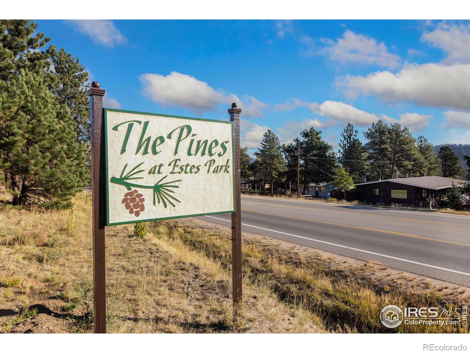 MLS Image #3 for 1155 s saint vrain avenue,estes park, Colorado