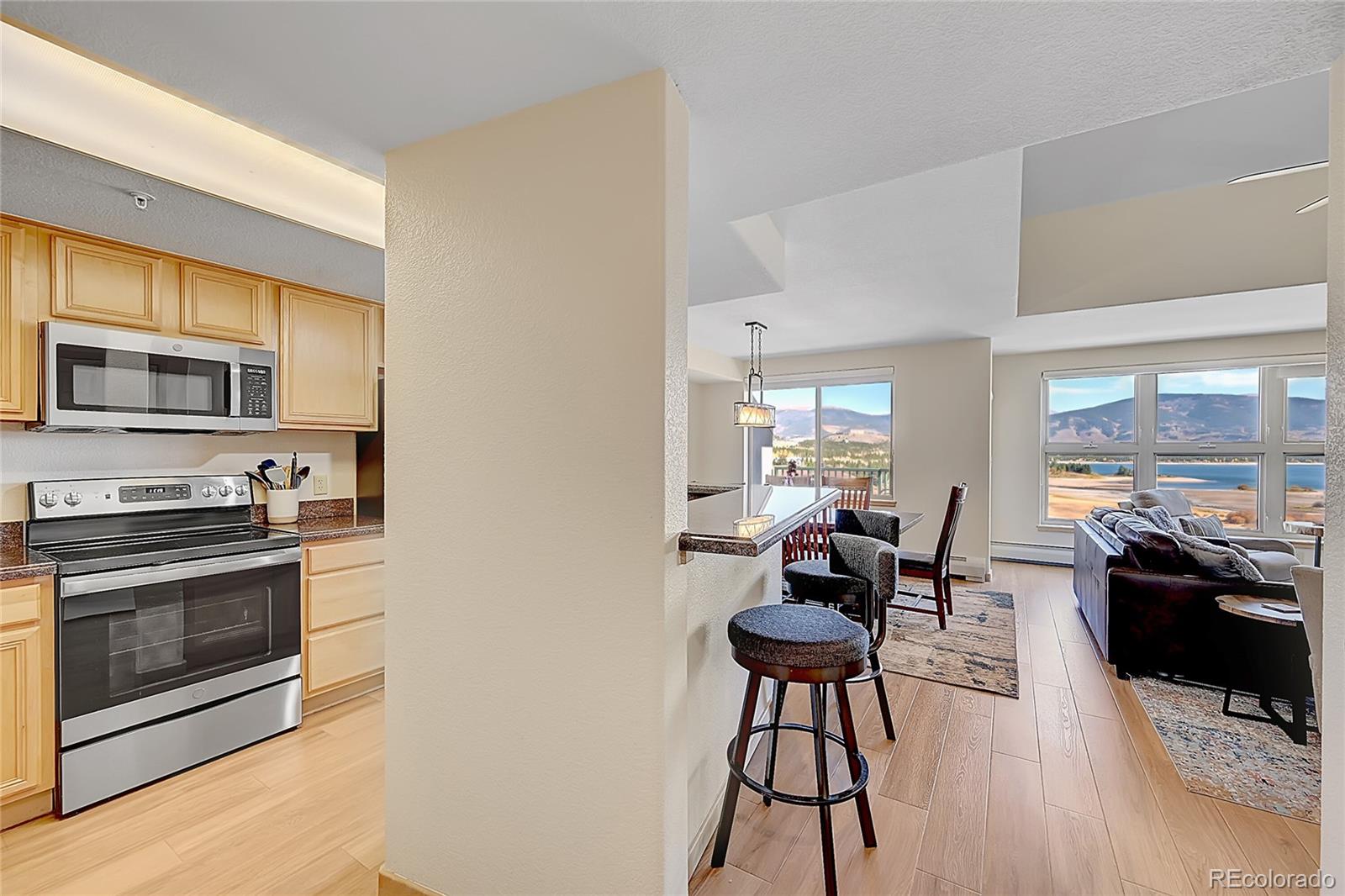 MLS Image #7 for 980  lakepoint drive,frisco, Colorado