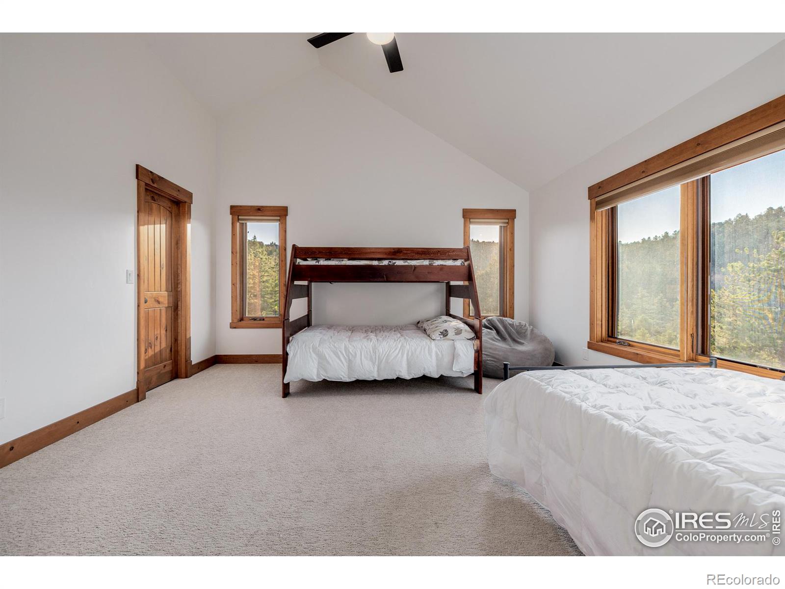 MLS Image #23 for 11272  belle meade drive,conifer, Colorado