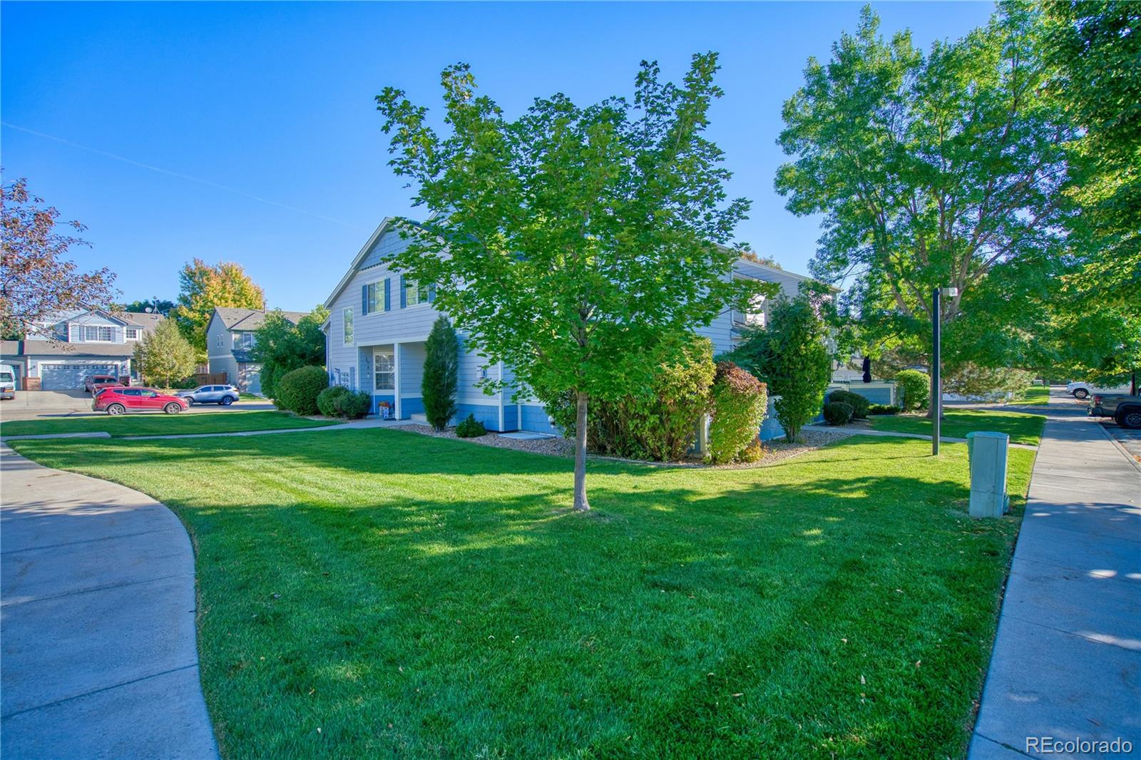 MLS Image #1 for 1419  red mountain drive,longmont, Colorado