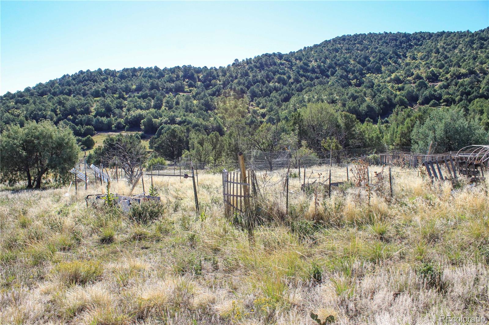 MLS Image #12 for 22300  stock canyon lane,trinidad, Colorado