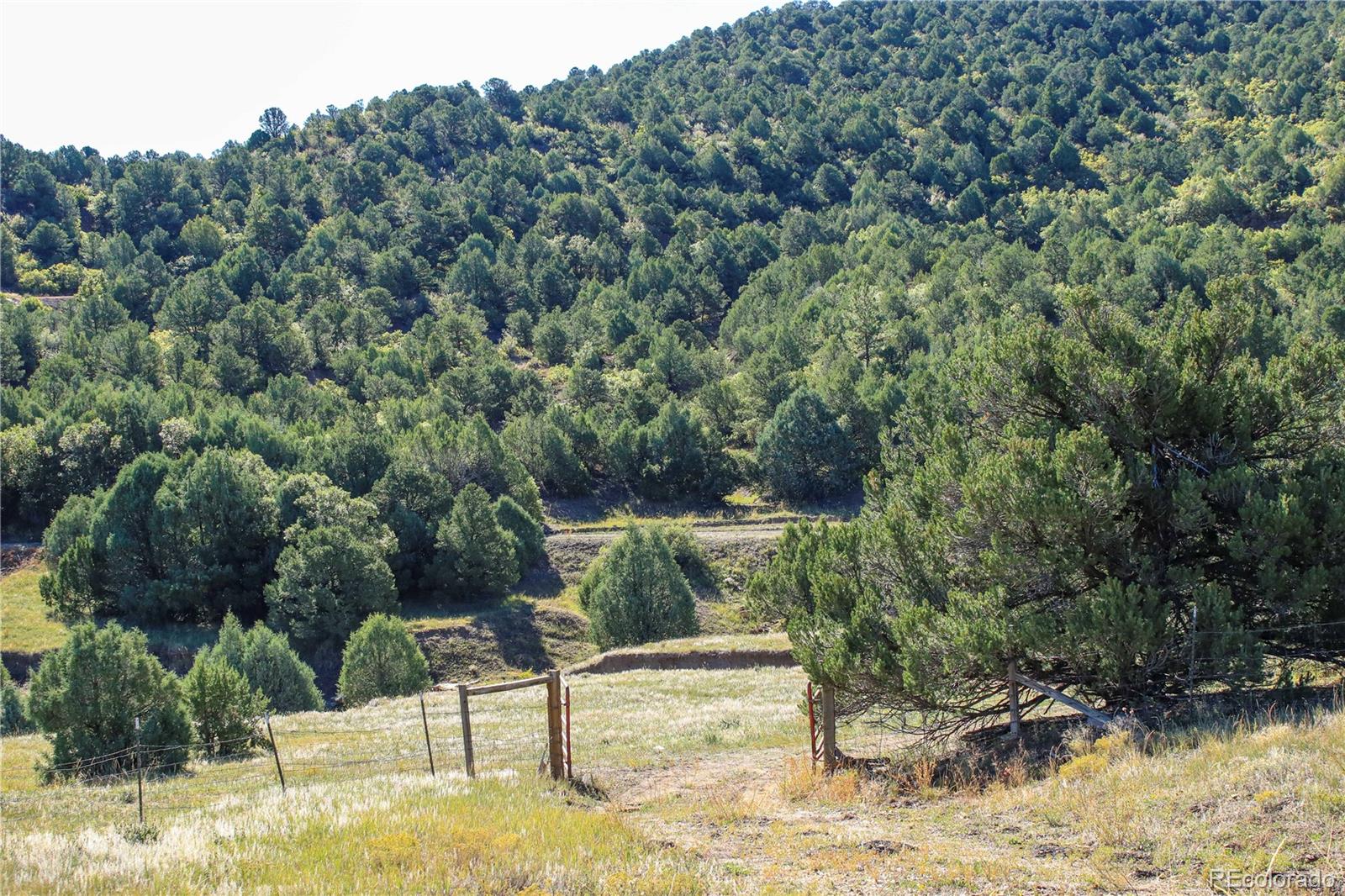 MLS Image #23 for 22300  stock canyon lane,trinidad, Colorado