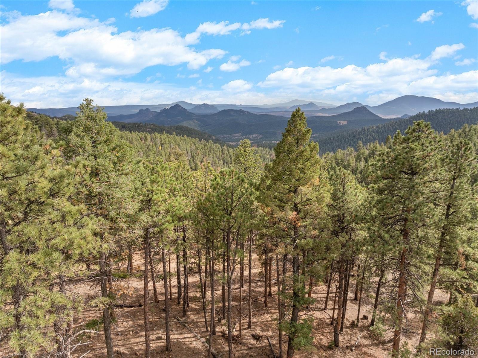 MLS Image #20 for 13415 s resort drive,conifer, Colorado