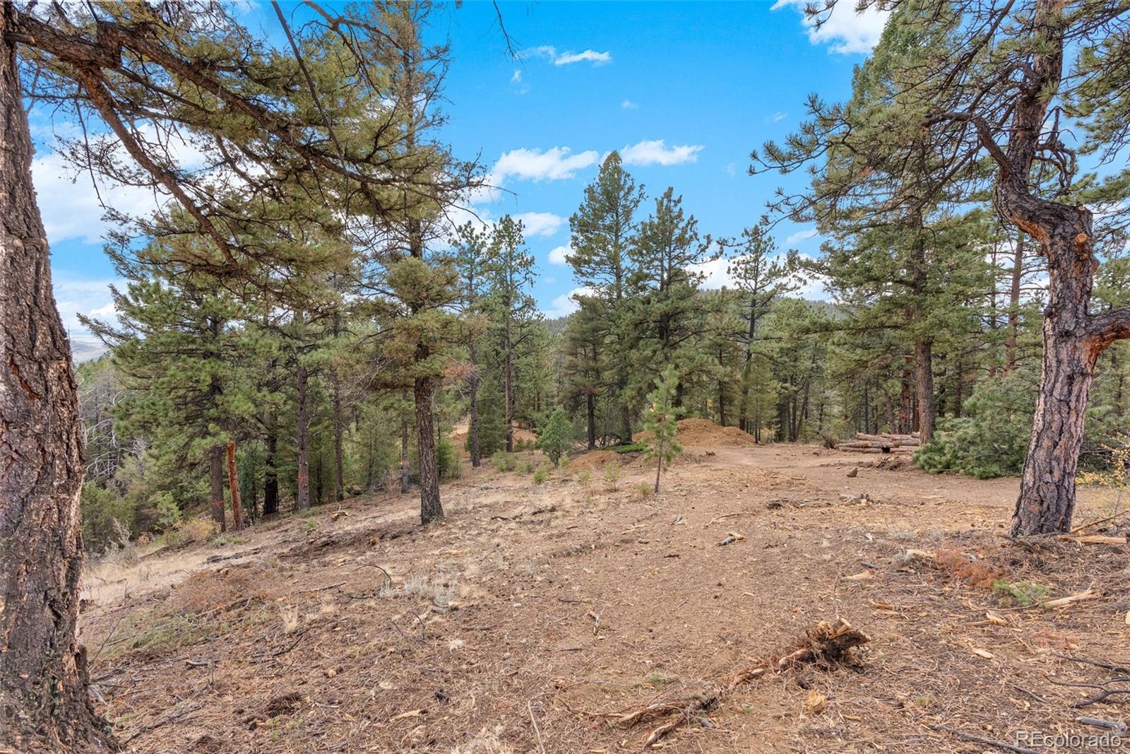 MLS Image #31 for 13415 s resort drive,conifer, Colorado