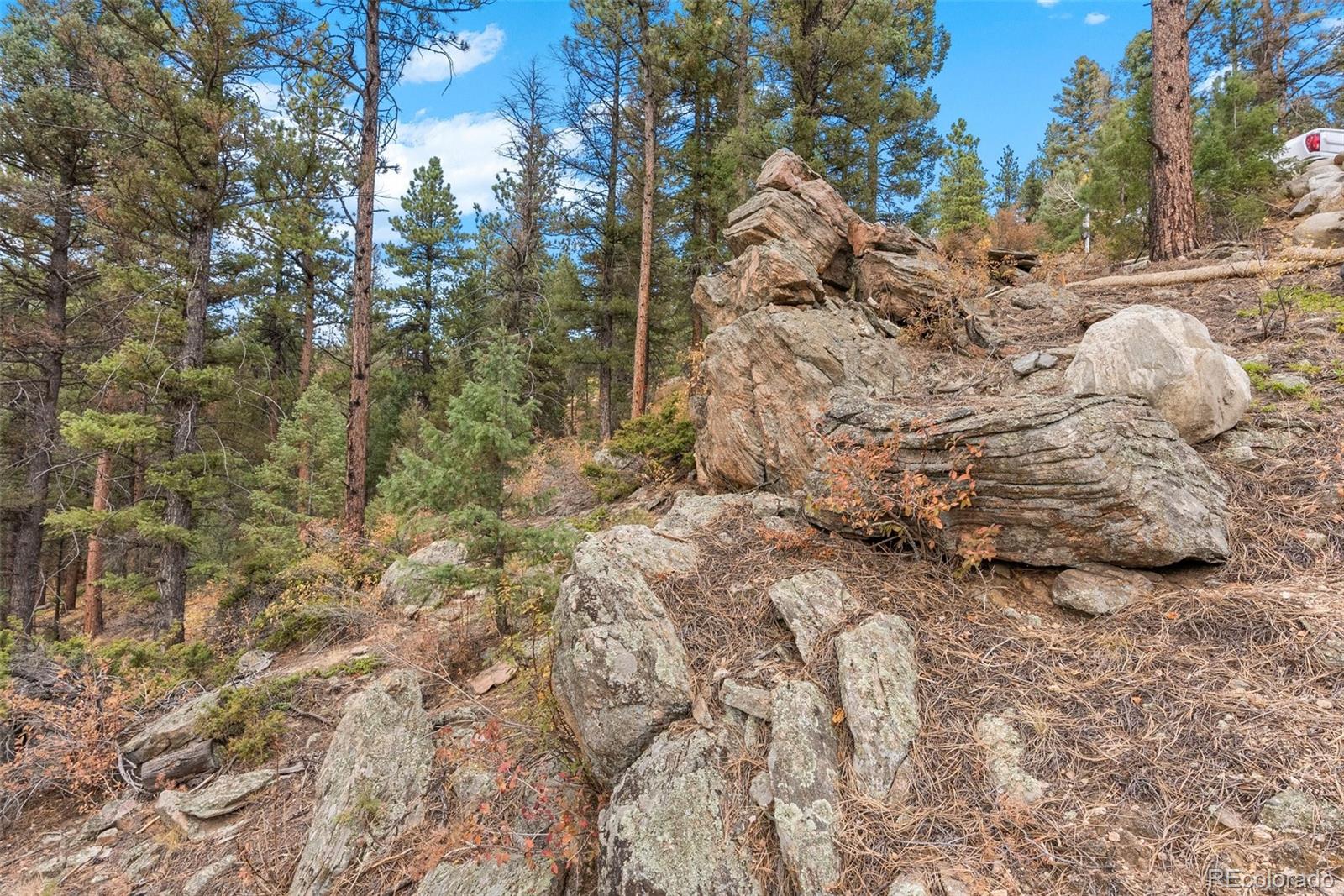 MLS Image #32 for 13415 s resort drive,conifer, Colorado