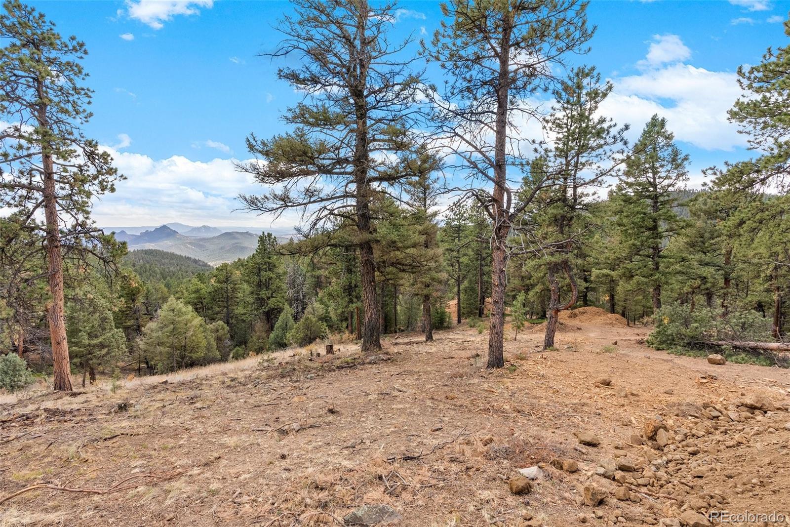 MLS Image #38 for 13415 s resort drive,conifer, Colorado