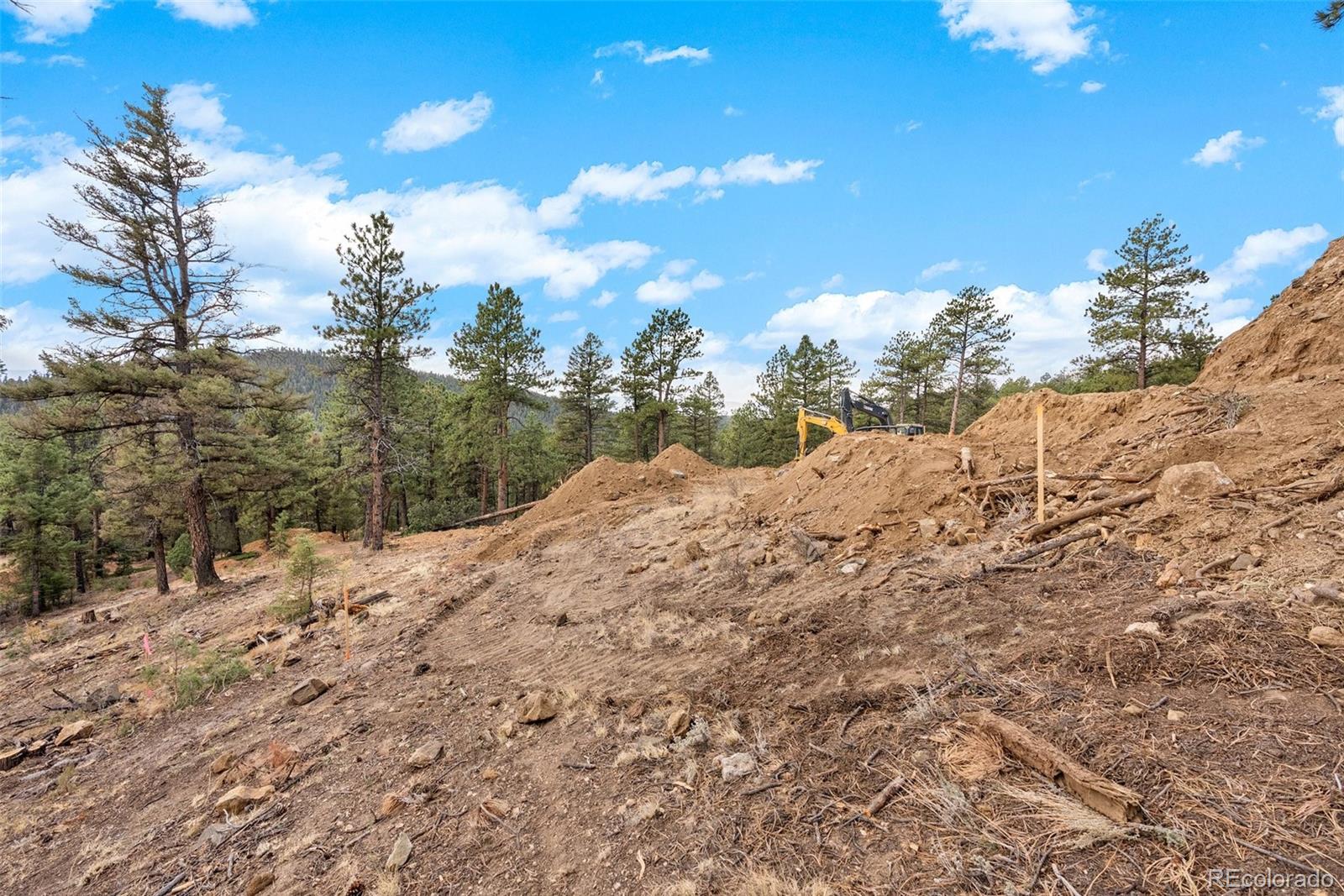 MLS Image #39 for 13415 s resort drive,conifer, Colorado