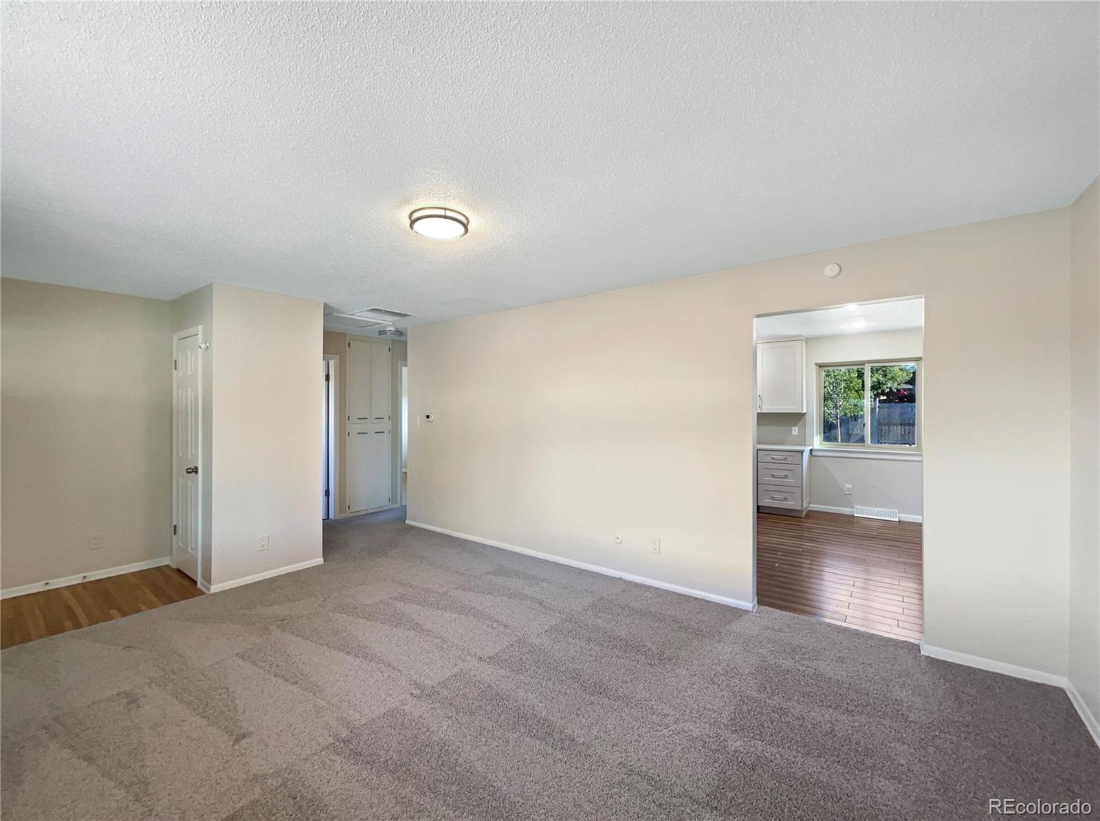 MLS Image #7 for 540 e 83rd drive,denver, Colorado