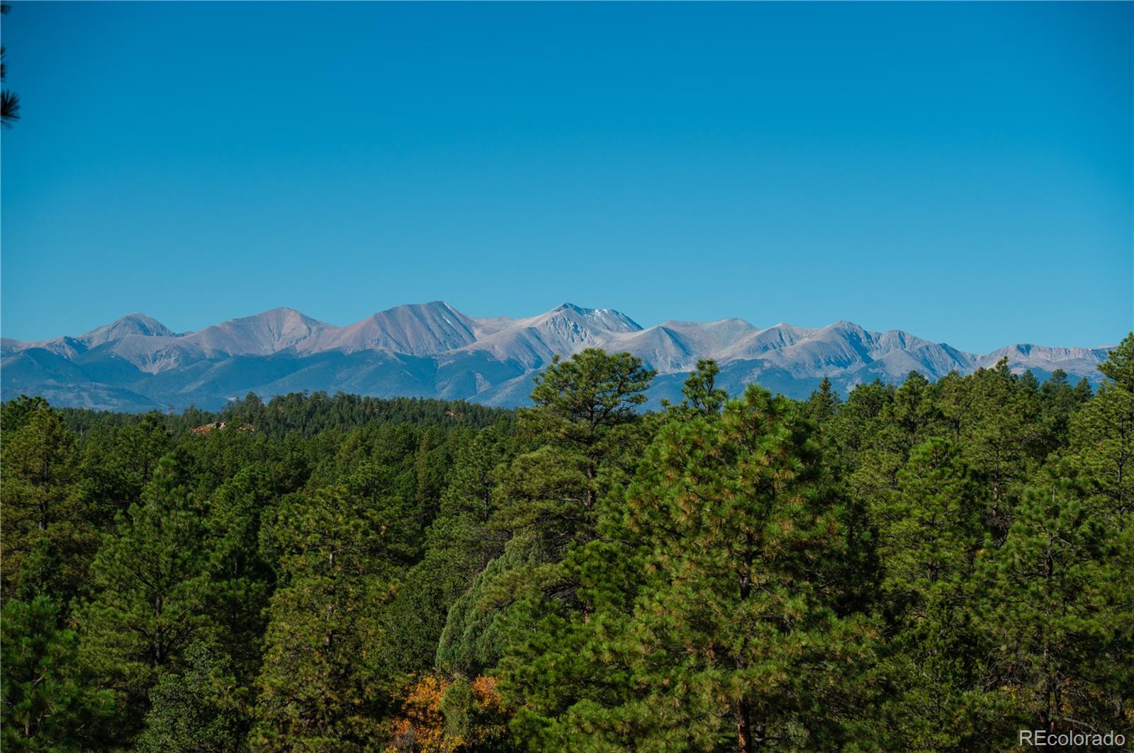 MLS Image #4 for 17680  whispering pines trail,boncarbo, Colorado