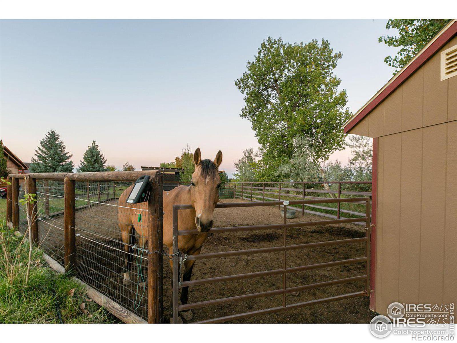 MLS Image #8 for 4260 s county road 23 ,loveland, Colorado