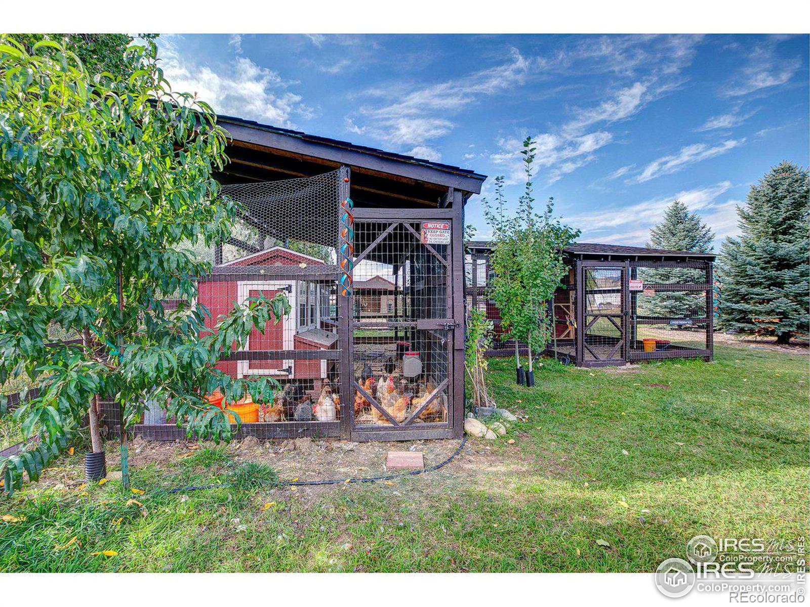 MLS Image #9 for 4260 s county road 23 ,loveland, Colorado